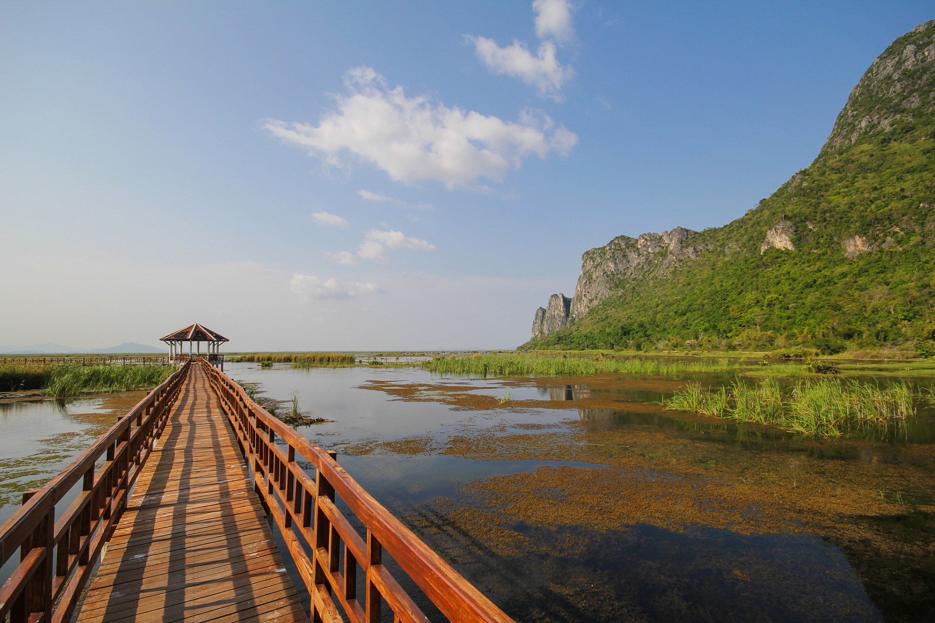 河南方城望花湖风景区攻略 95  望花湖位于河南方城县,是一座美丽的