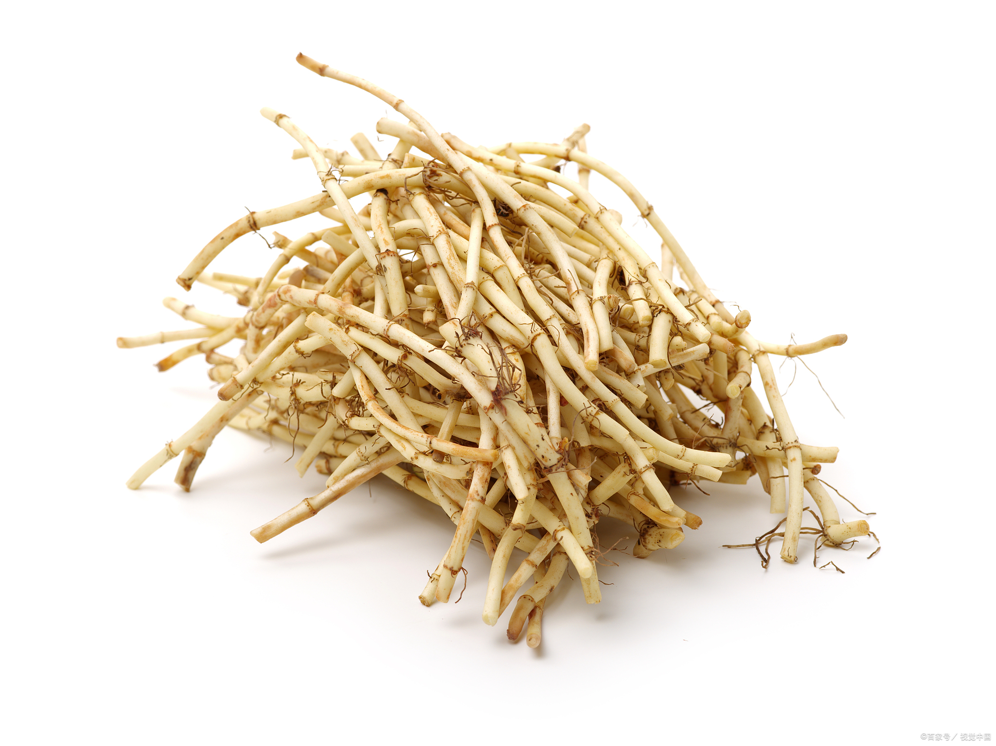 为什么大多数人接受不了折耳根的味道?一文详细探讨