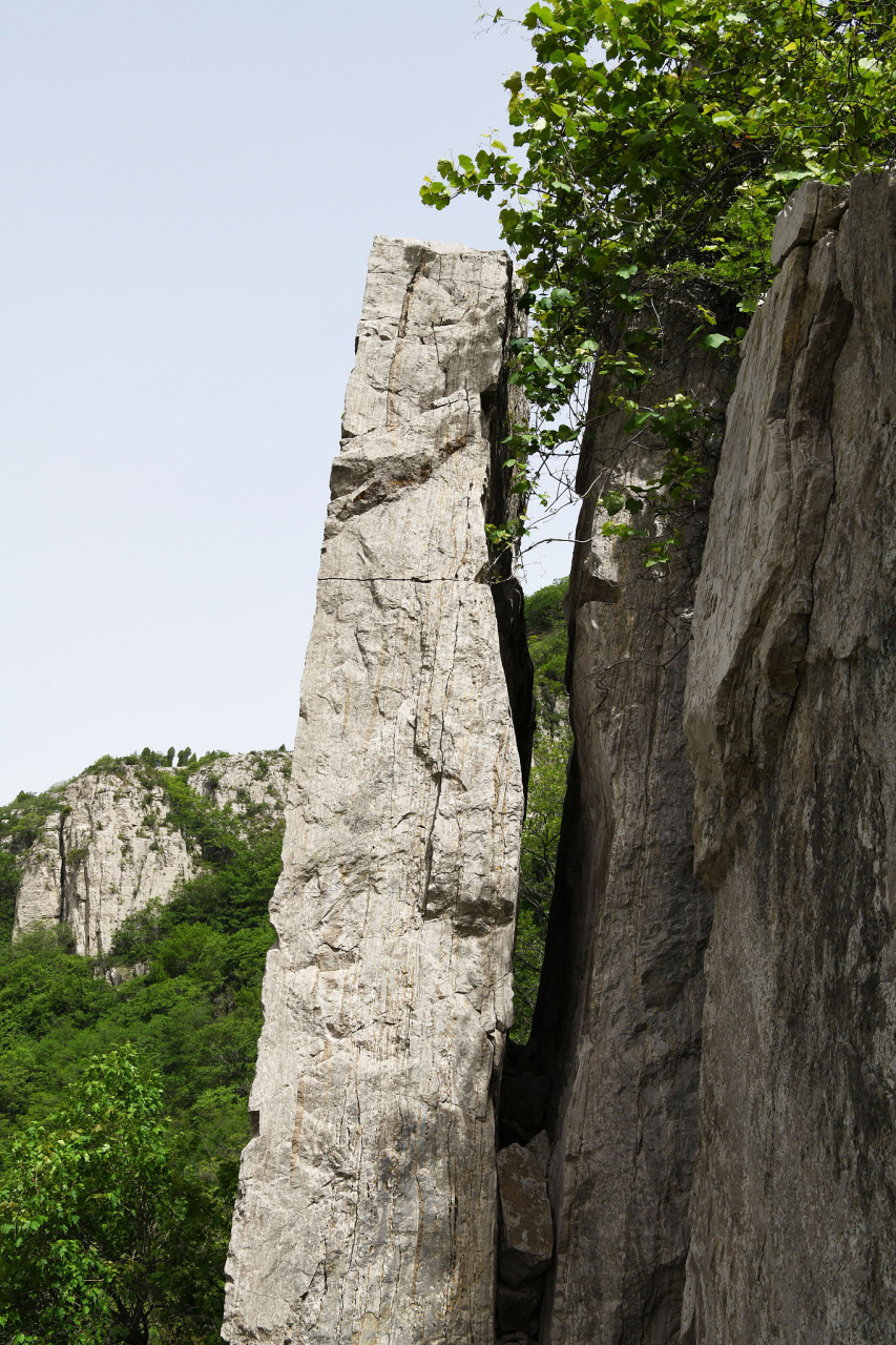 照金国际滑雪场 位置: 陕甘边照金革命根据地纪念馆附近 特色: 滑雪