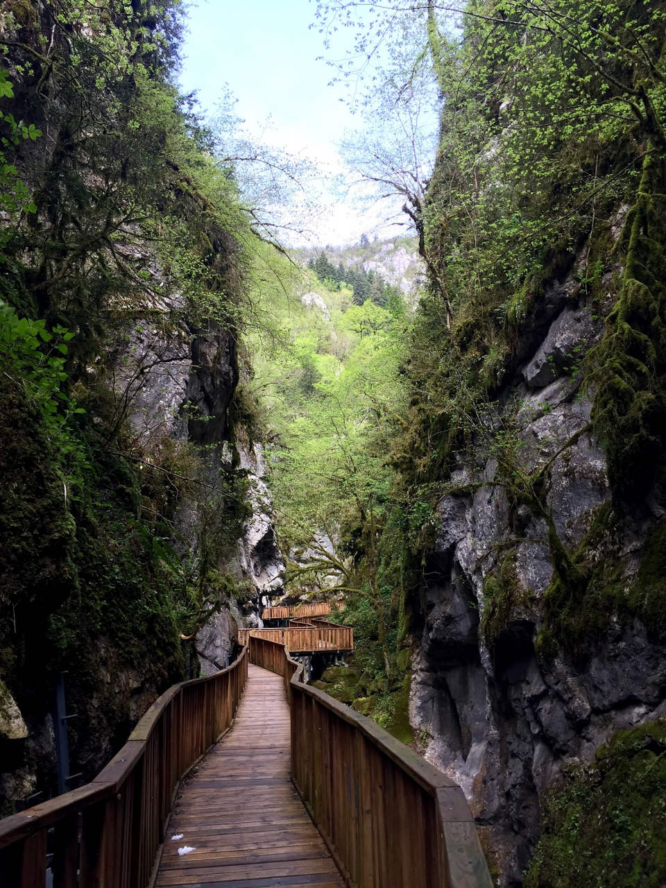 亚运fun体验#泽雅风景区,作为杭州亚运会的一部分,将为参赛选手和