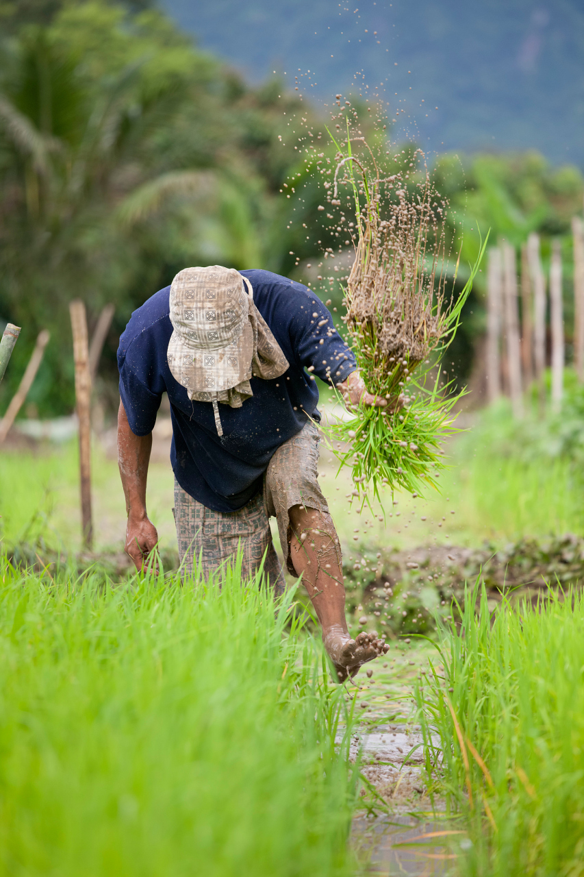 这些事件反映了农村地区教育资源的匮乏和机会的不平等
