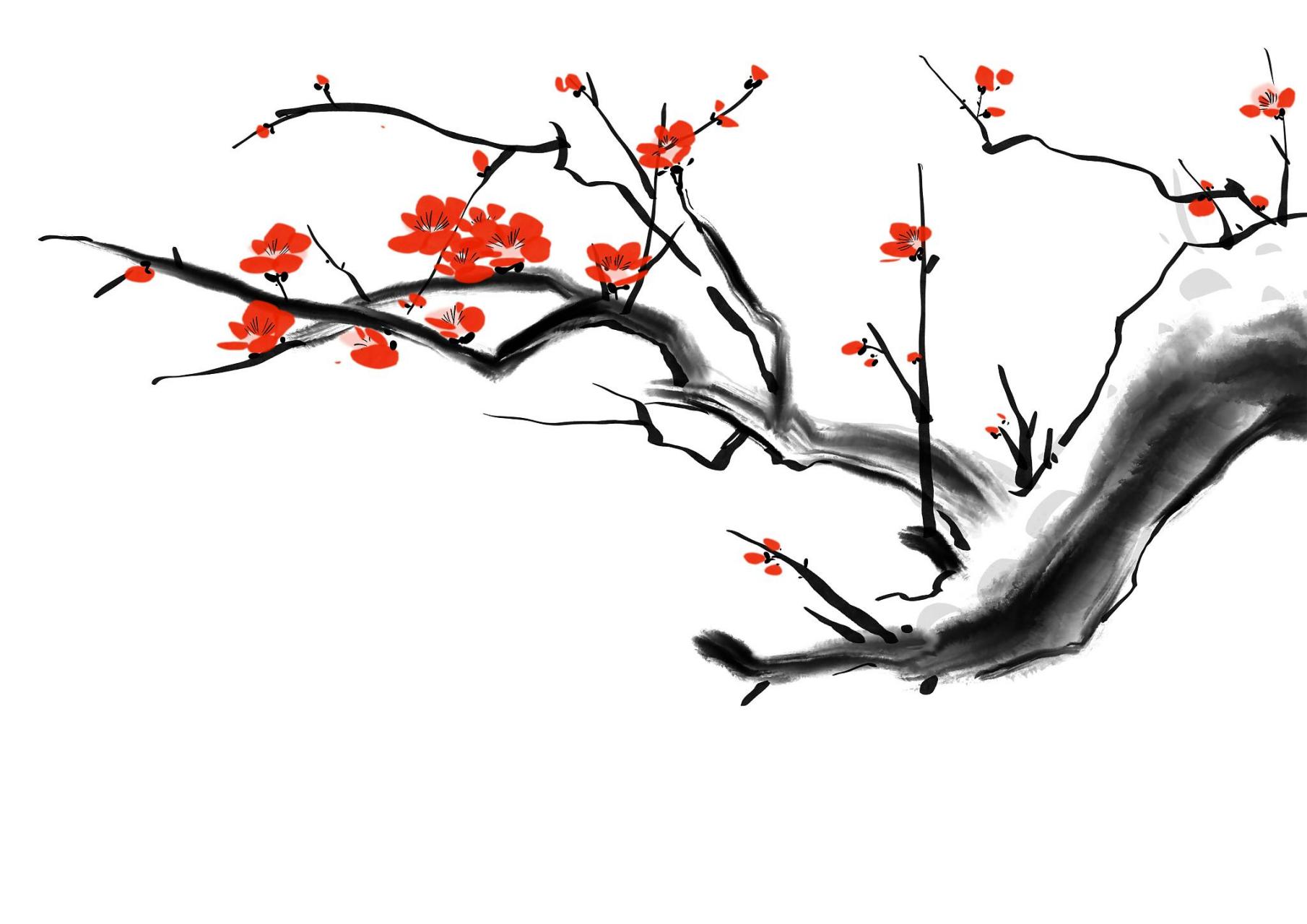 梅花,一个早春的妖娆女子,她总是在残雪未消的时节闪耀着自己的美丽.