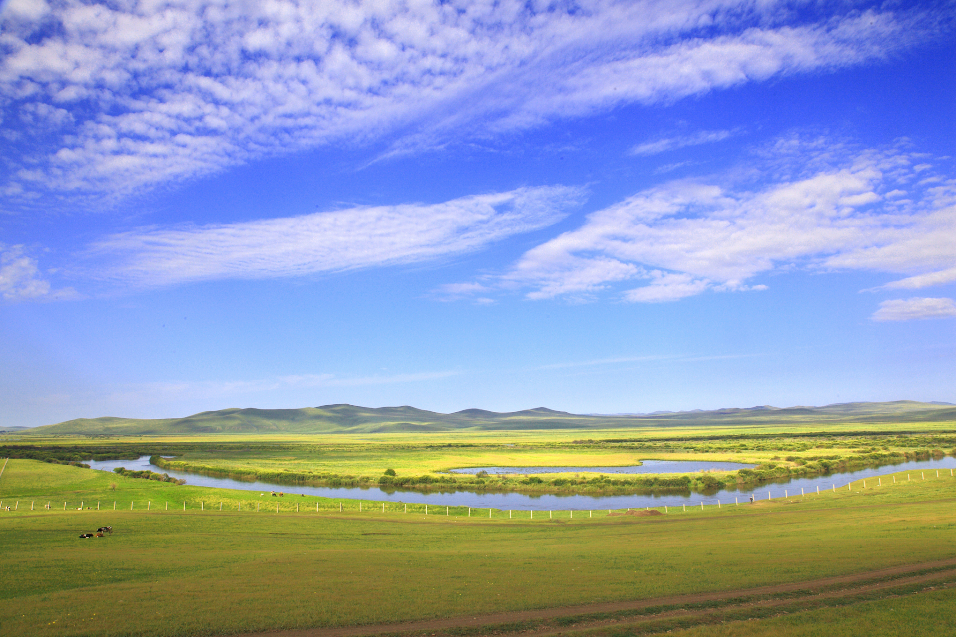 前往草原旅游需注意气候变化,安全问题,环境保护和尊重当地文化,做好
