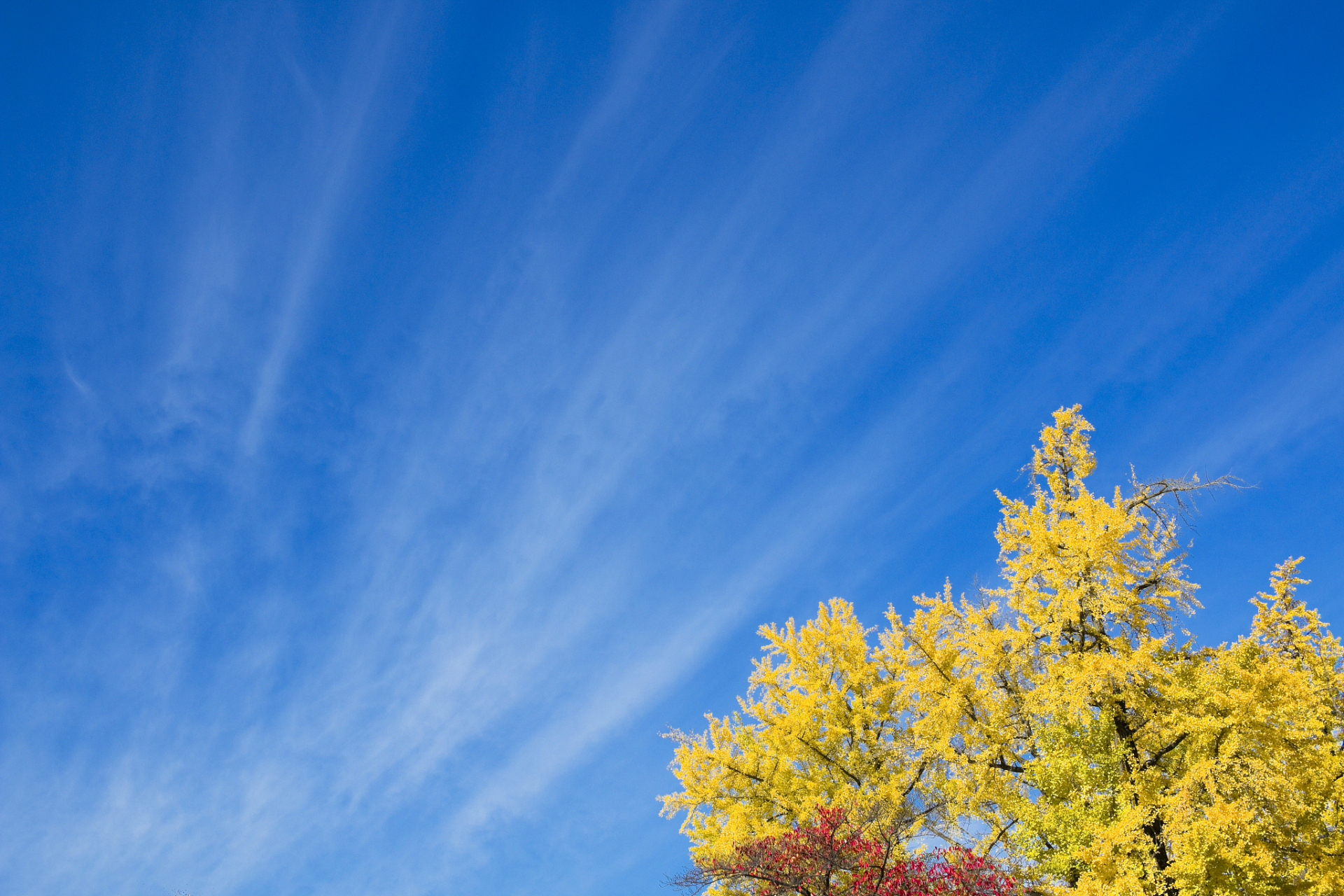 旻字取名,秋高气爽  旻mín 天,天空;又特指秋季的天:旻天.苍旻.