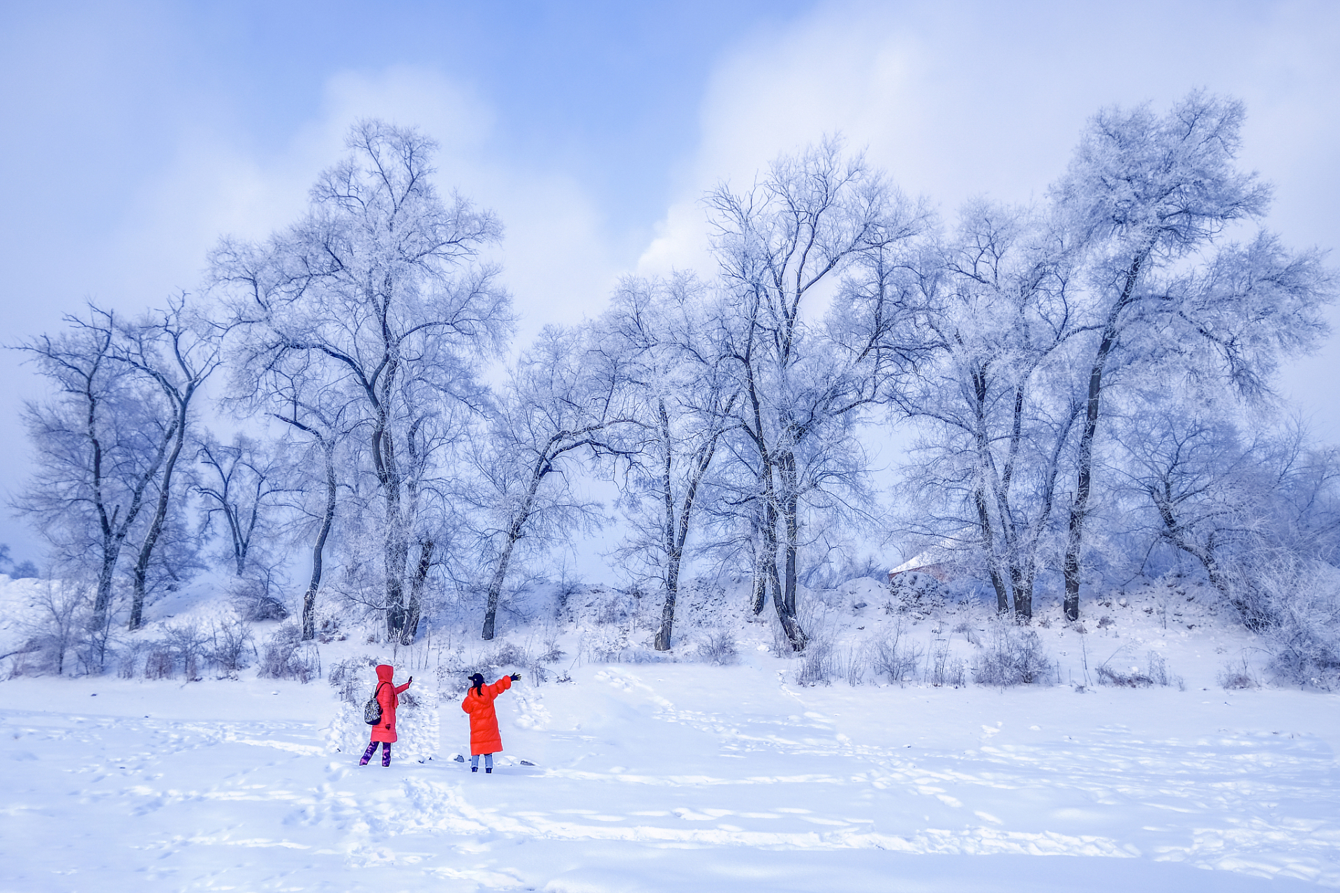 雪天风景照图片