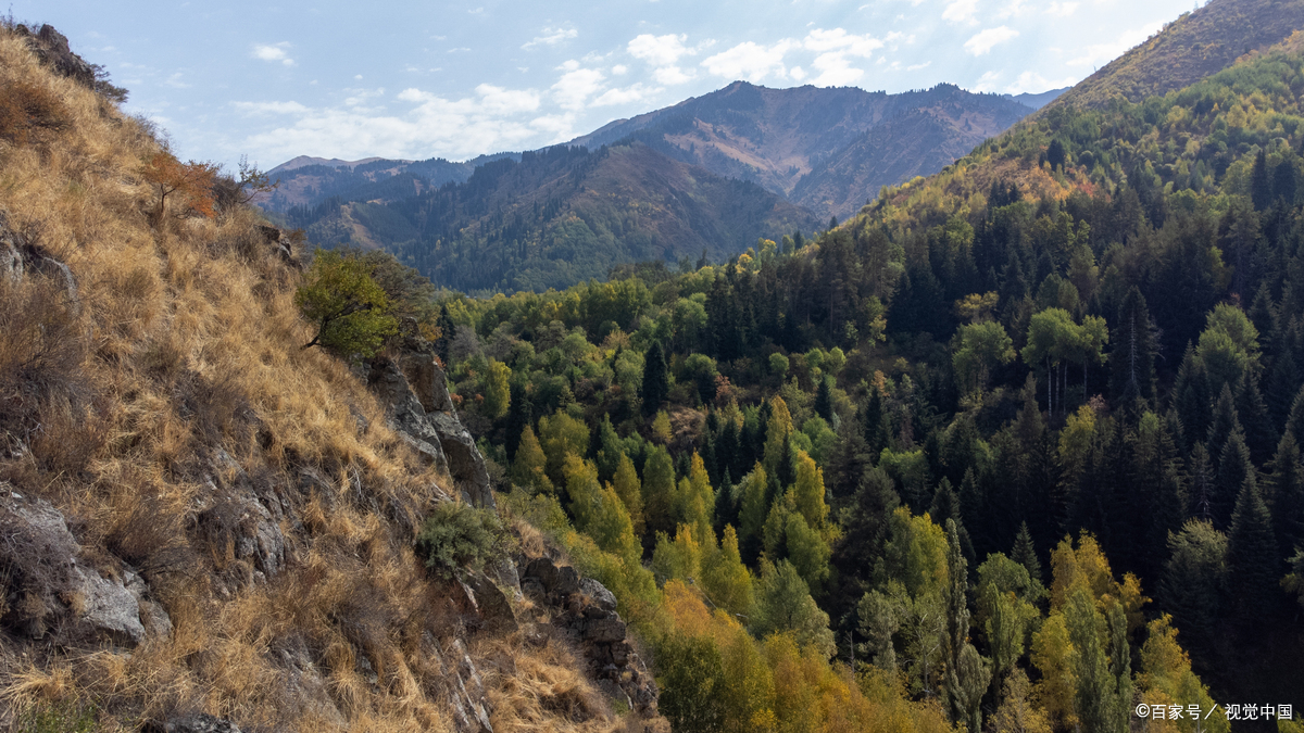 昭通大雪山,原始森林的自然保护区!
