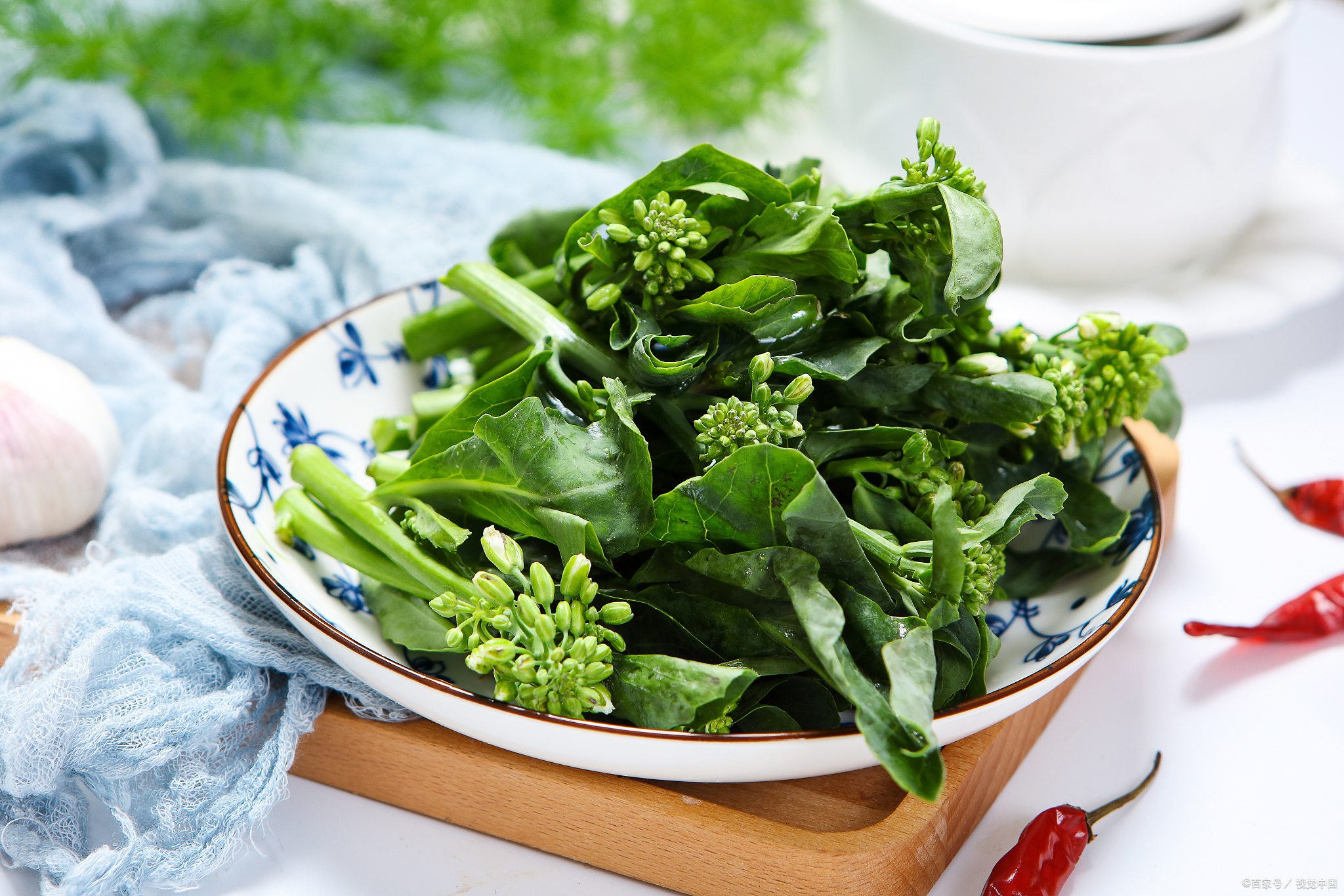 菜心和芥兰的区别是什么_百科TA说
