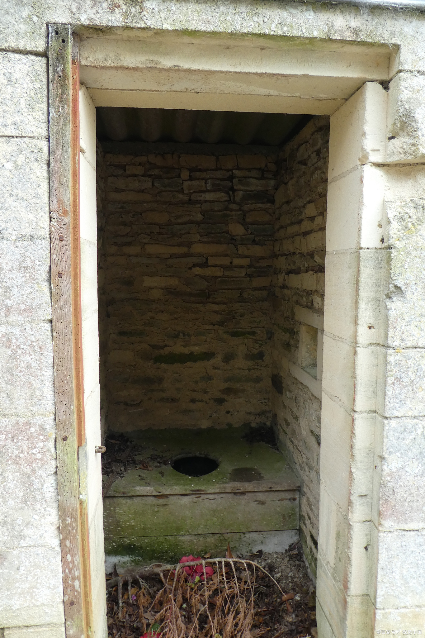 《河南商丘宁陵县女子茅坑溺亡事件:令人痛心的意外》