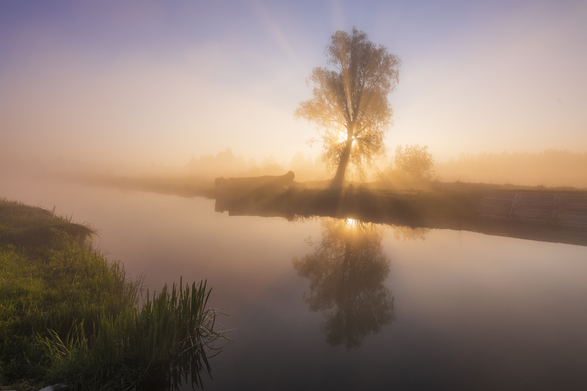 屏蔽干扰,沉稳内敛,品味人生,拥有好人缘.