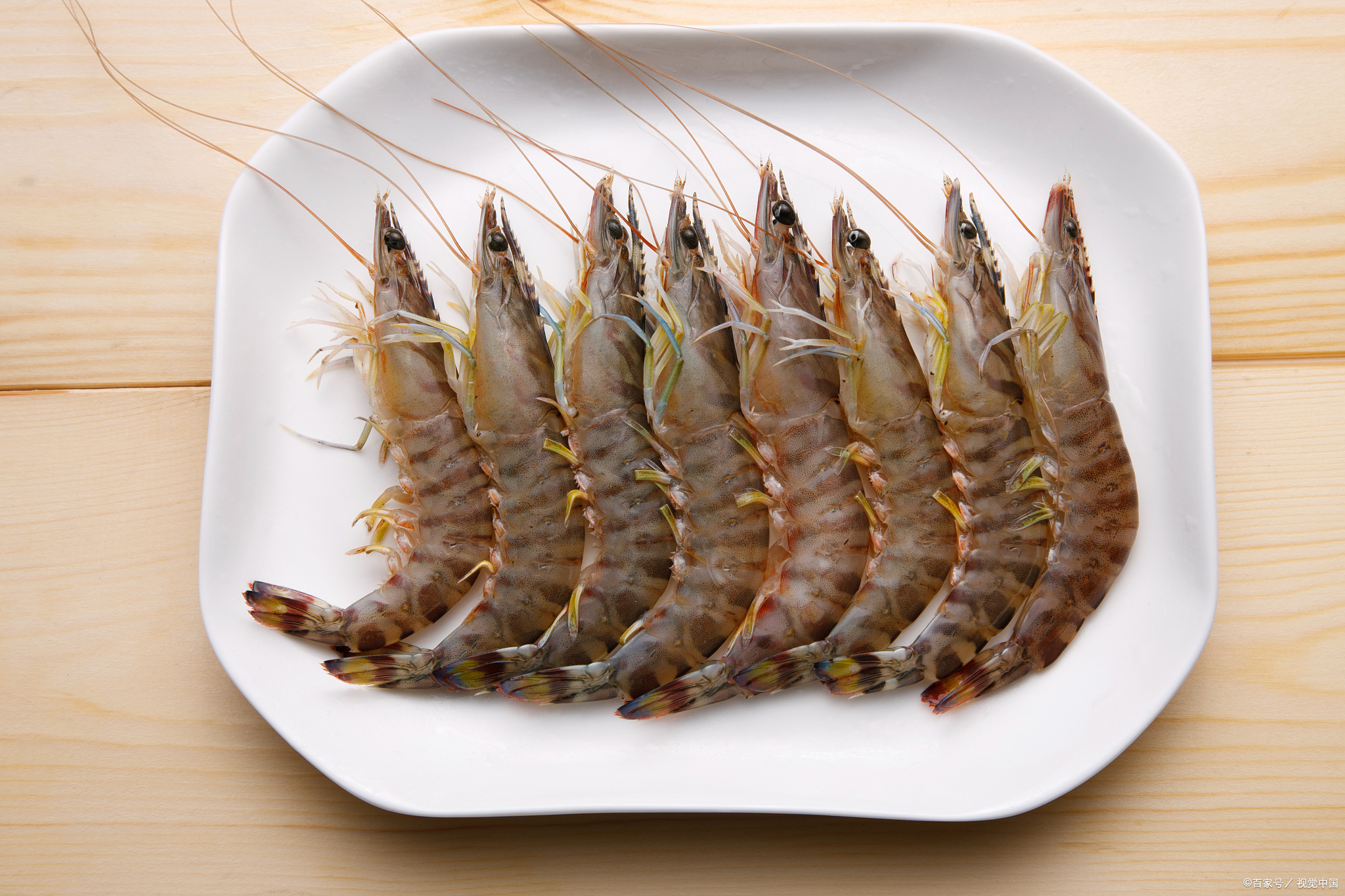 淡水虾有哪几种?