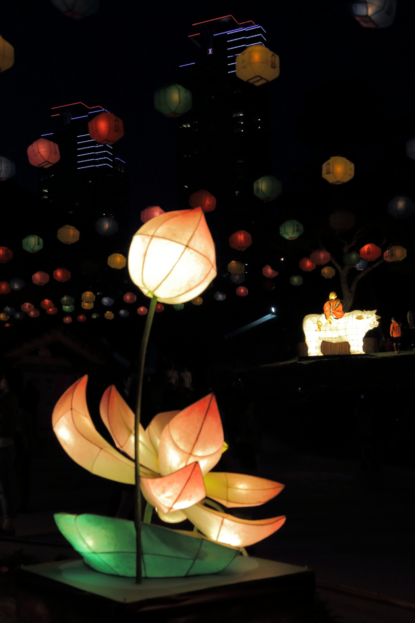 清明节放荷花灯是什么寓意,还有哪些其他习俗?