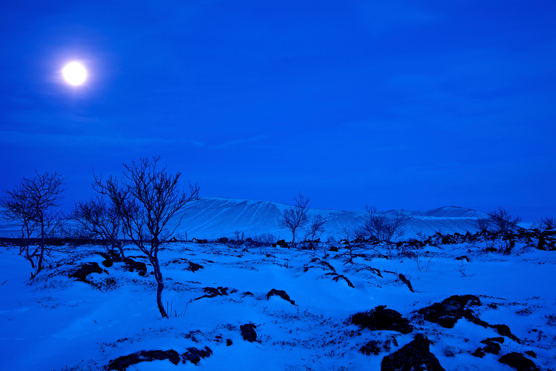 《情感类段子之绝色》月色与雪色之间,你是第三种绝色.