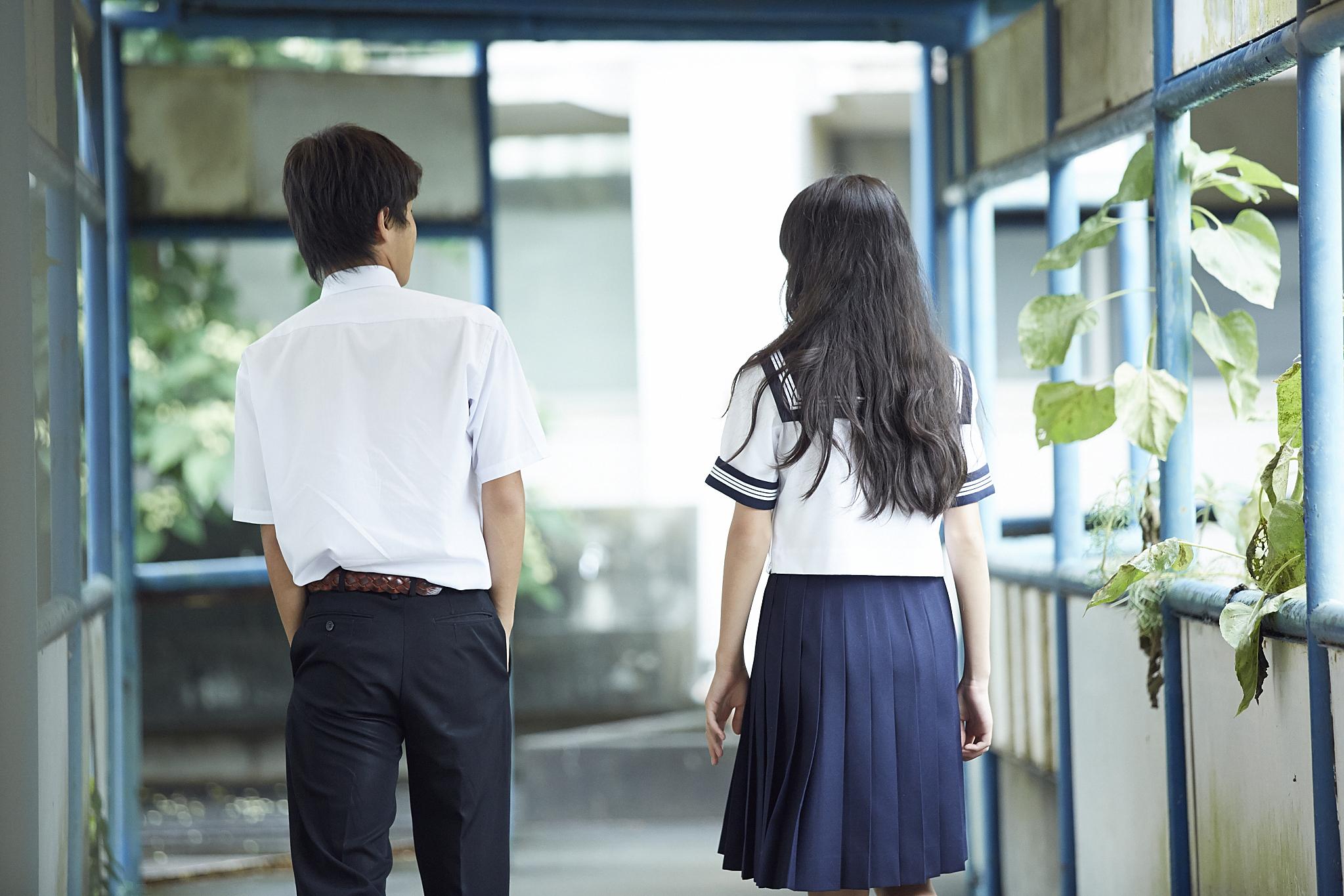 经常骂你这5女生穿校服和男生一起在槐树下交谈的图片初中校园恋爱