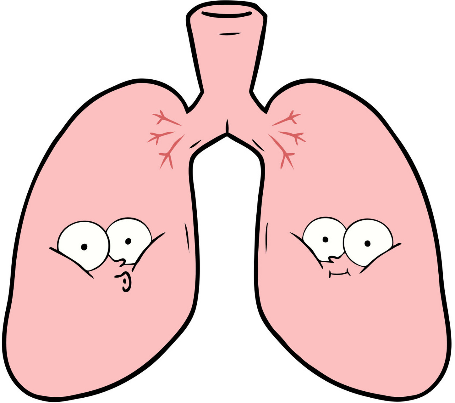 佩戴口罩:口罩可以阻挡灰尘,颗粒物等污染物进入呼吸道,起到保护肺部