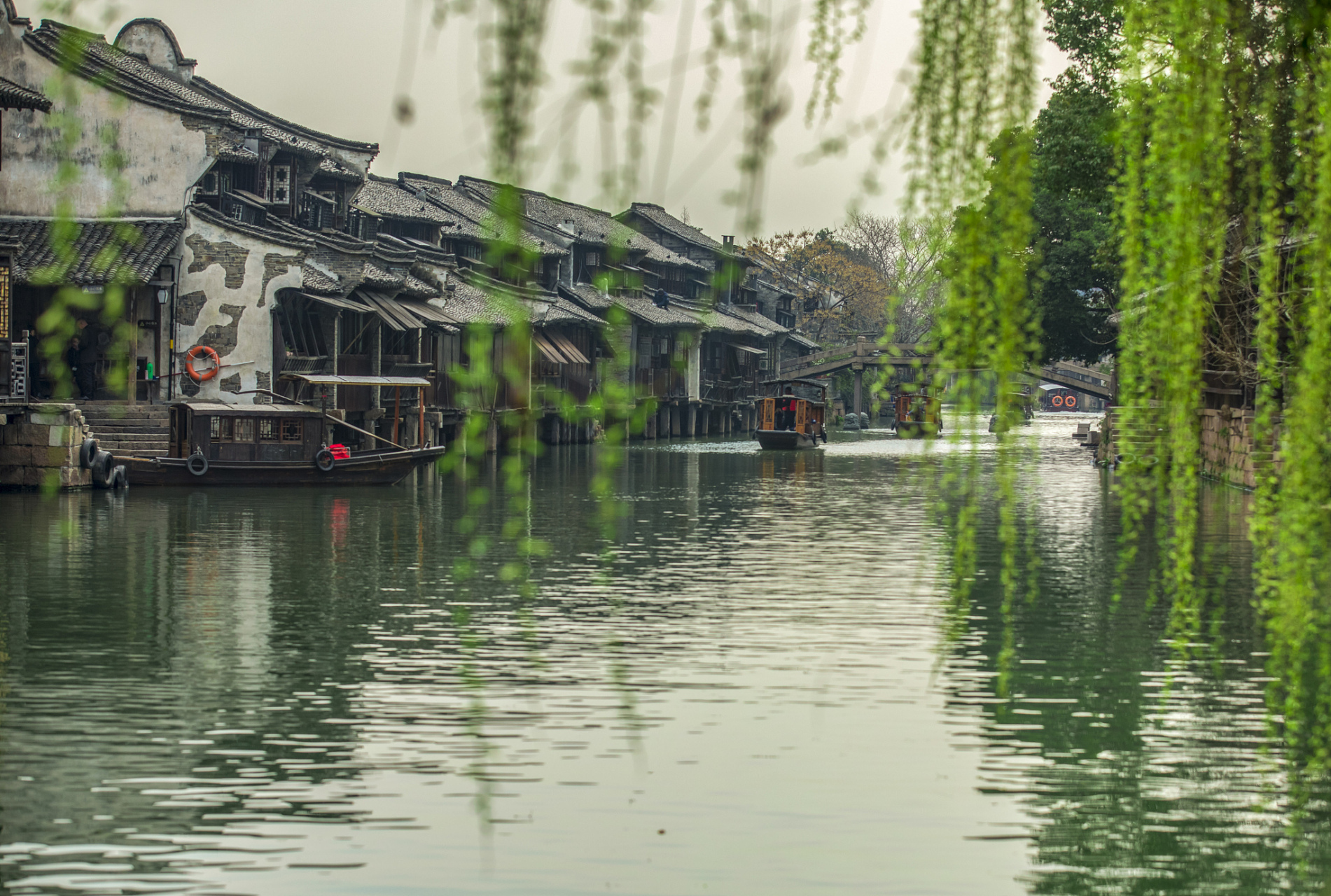 心慎杂欲,则有余灵 目慎杂观,则有余明.