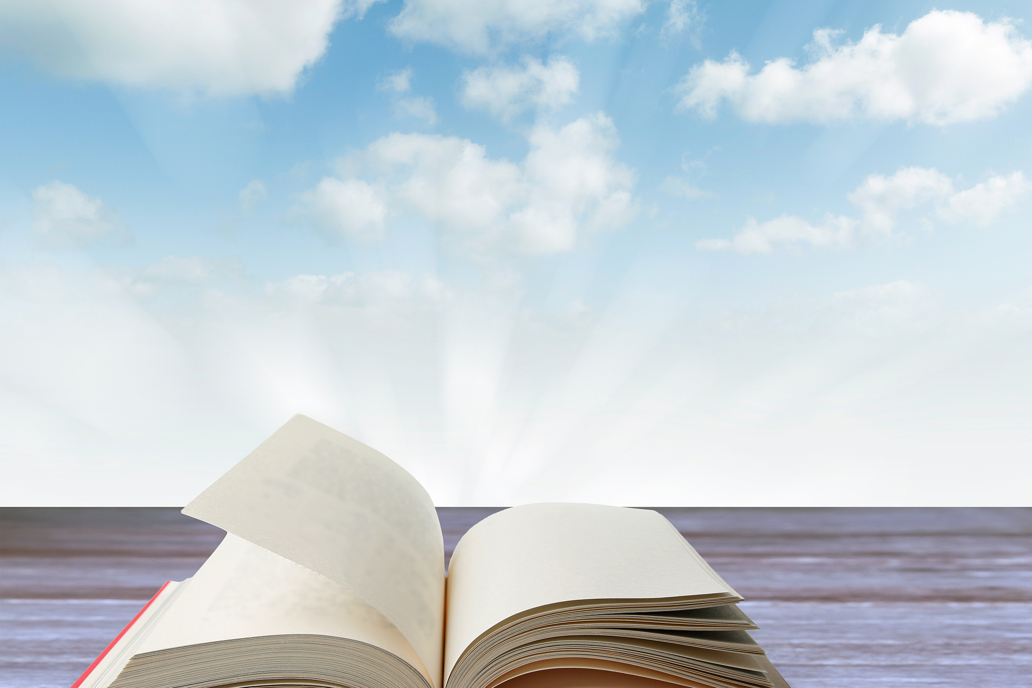 读书是一项可以改变一个人气质的重要活动,能够提升思