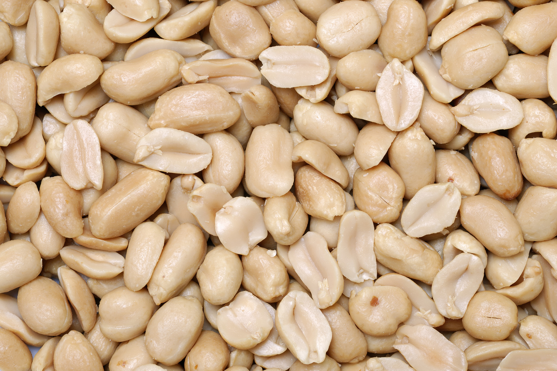 白皮花生和红皮花生在外观,营养,食用方式和价格方面有所不同.