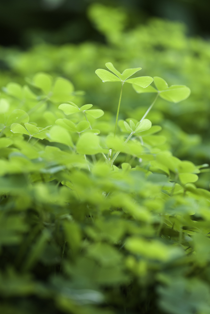 这样睡觉时间只有4小时.