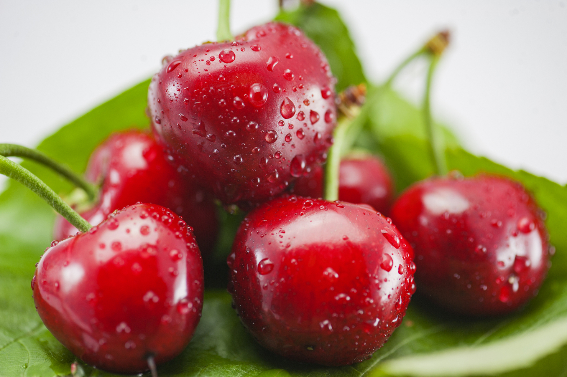 去别人家里,有贵的水果,零食.别人让你吃,你可以吃一点
