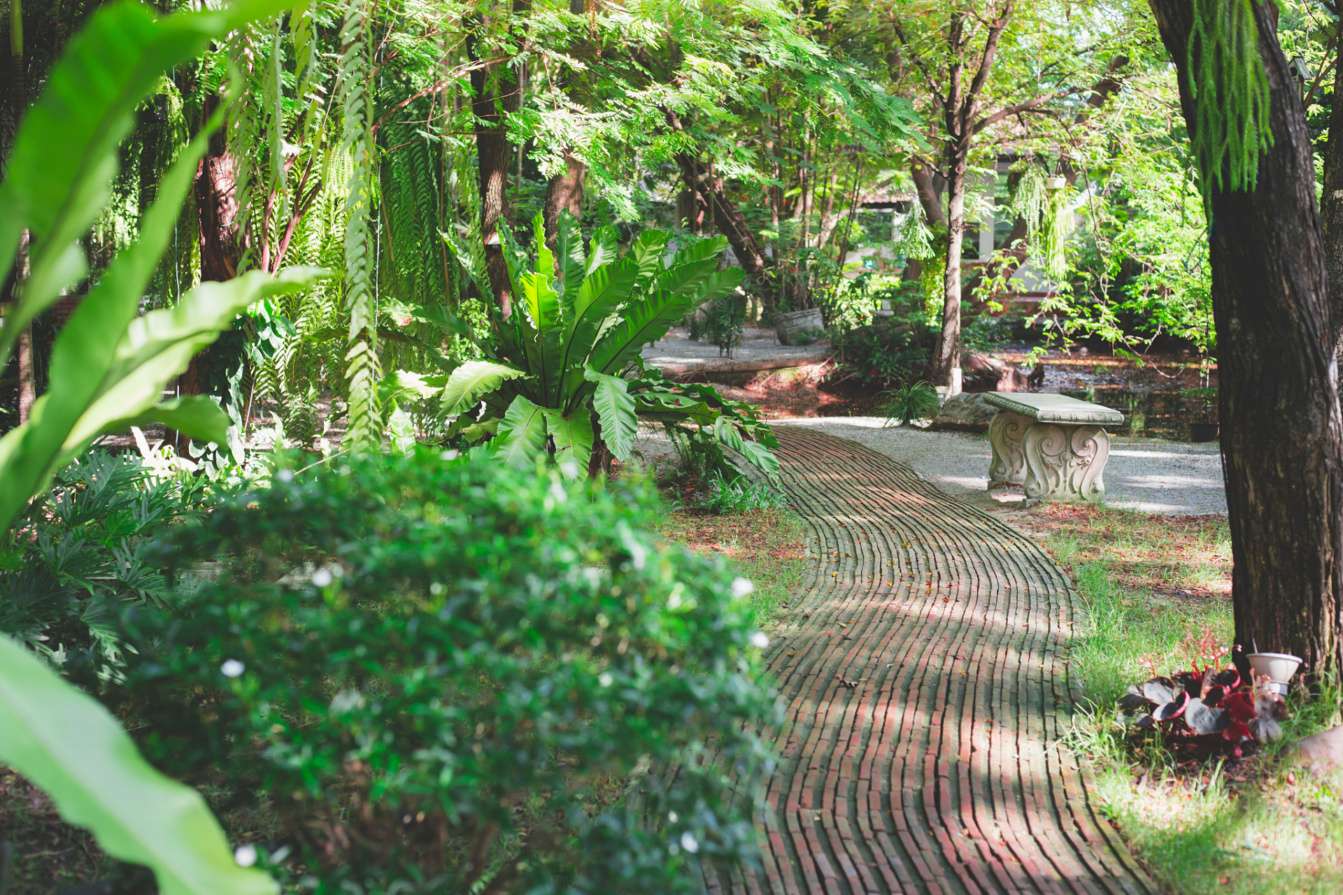 本地mcn挑战赛# 长沙鸟语林座落在著名的国家级风景名胜区岳麓山,是