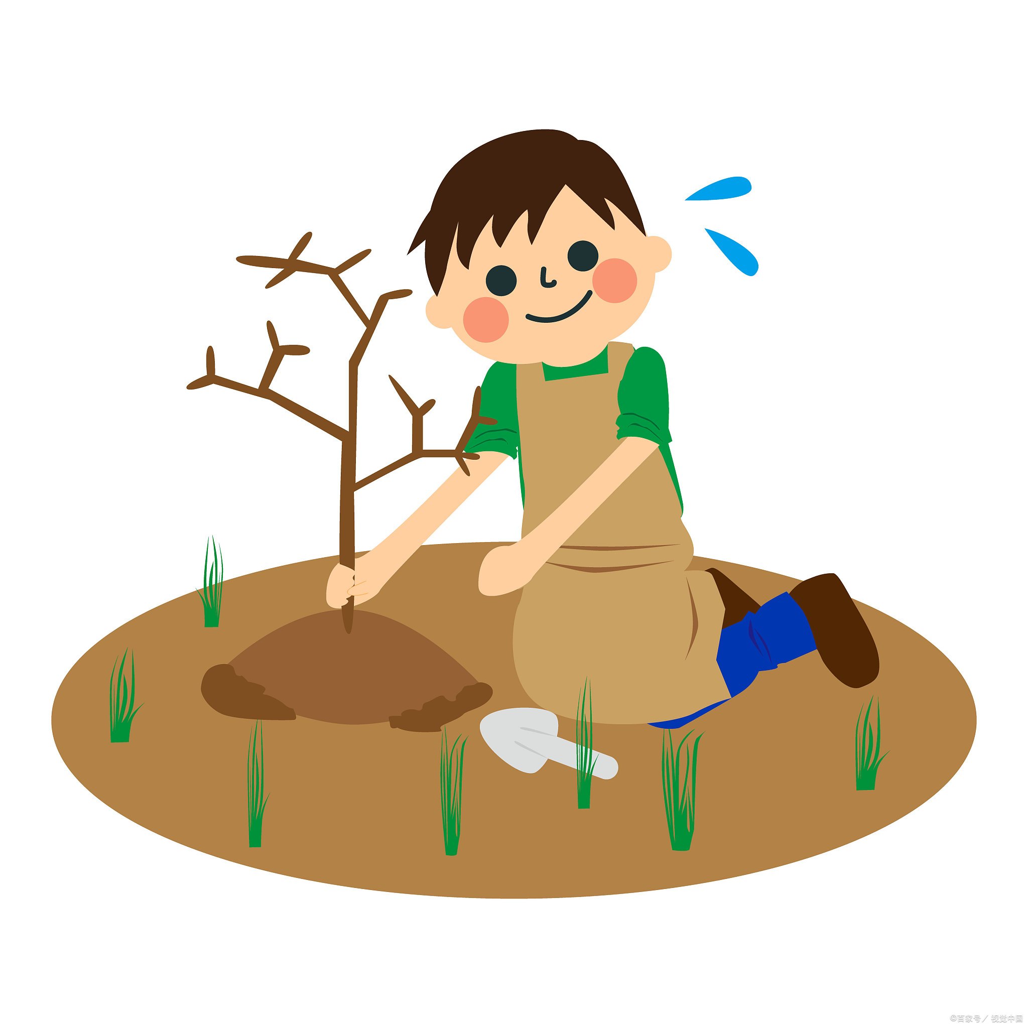 挖呀挖黄老师疑开豪车引热议,你怎么看