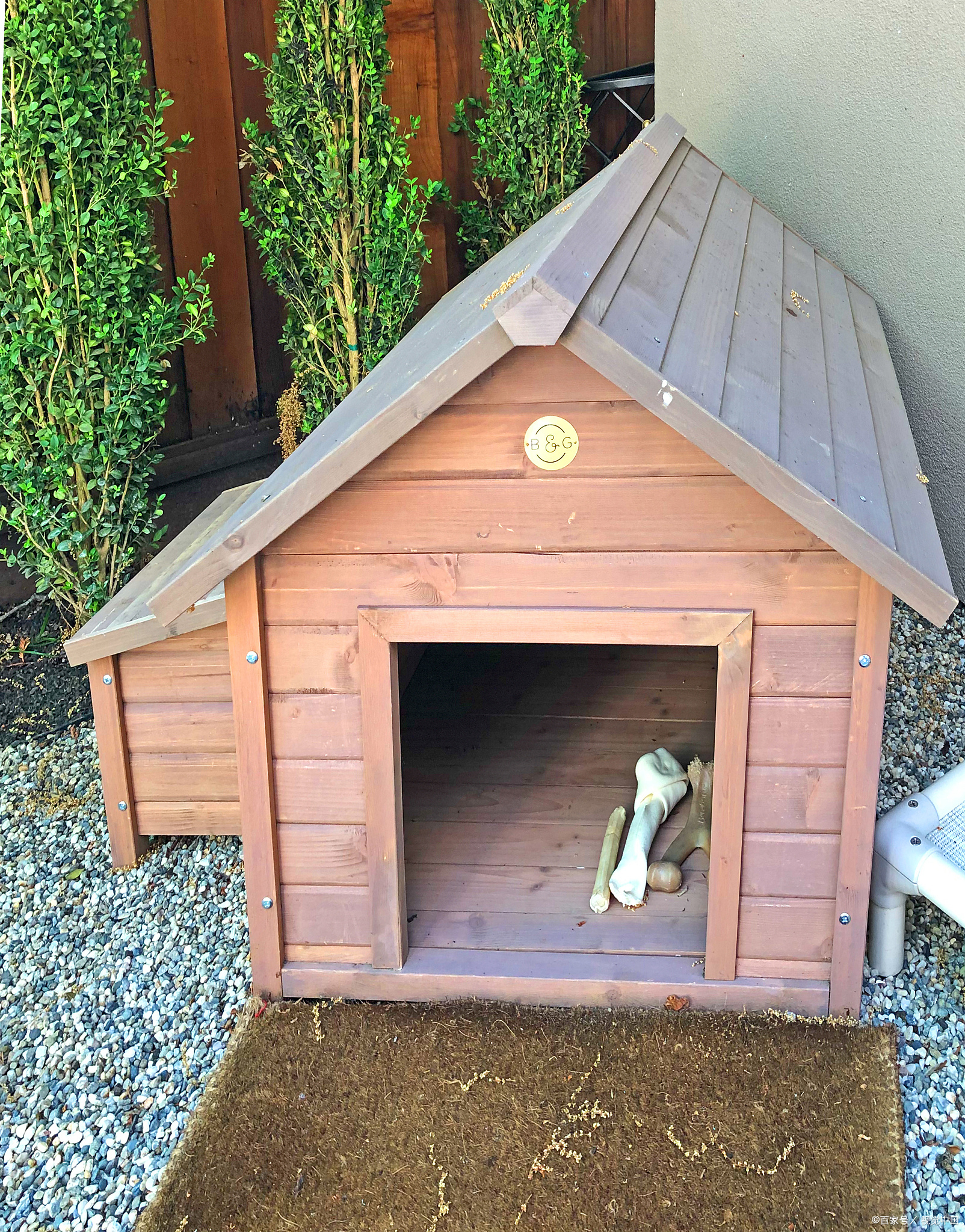 为宠物打造一个温馨的家是每个宠物主人都希望实现的