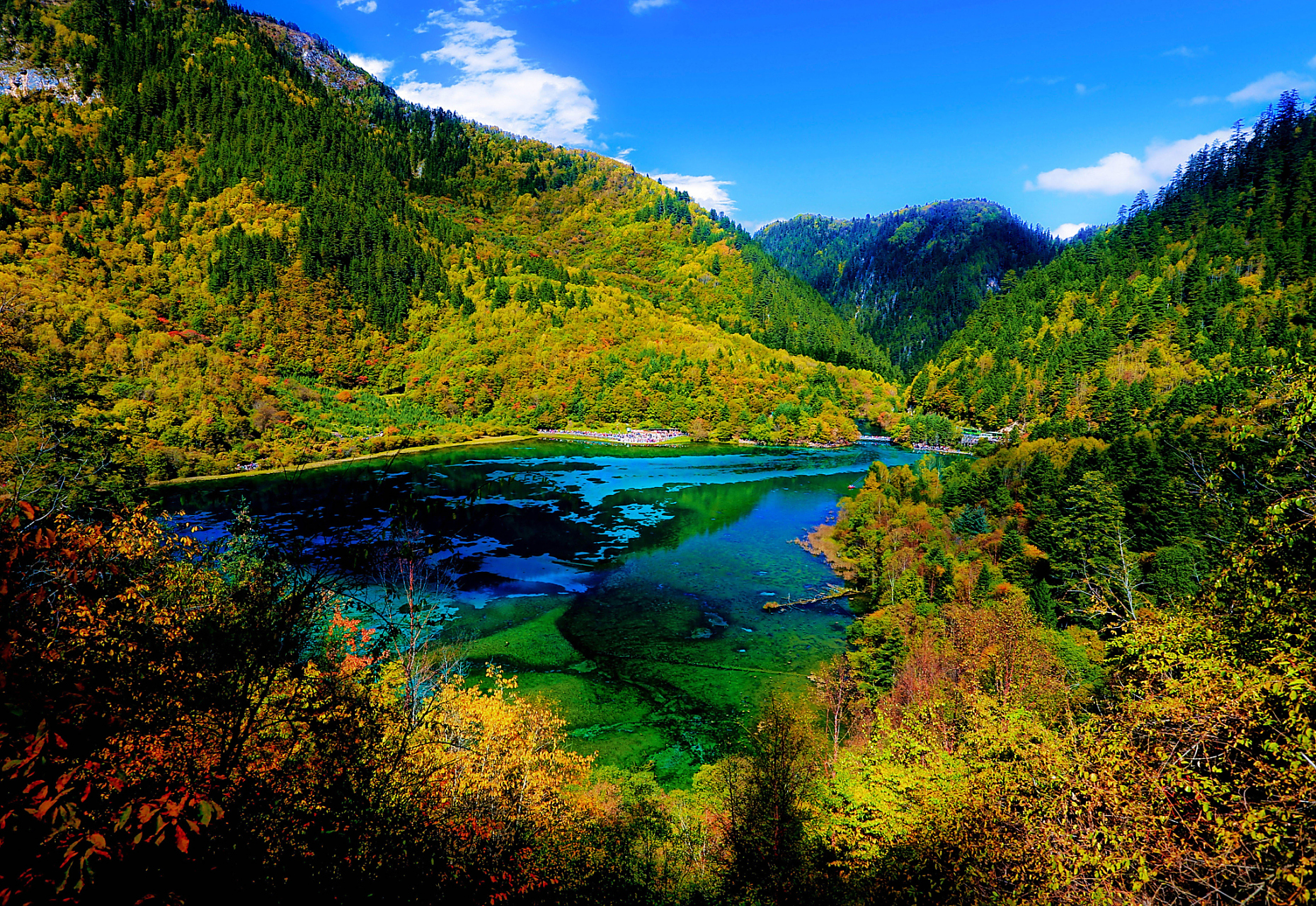 四川旅行#  在四川省阿坝藏族羌族自治州九寨沟县的一个地方,它有 ""