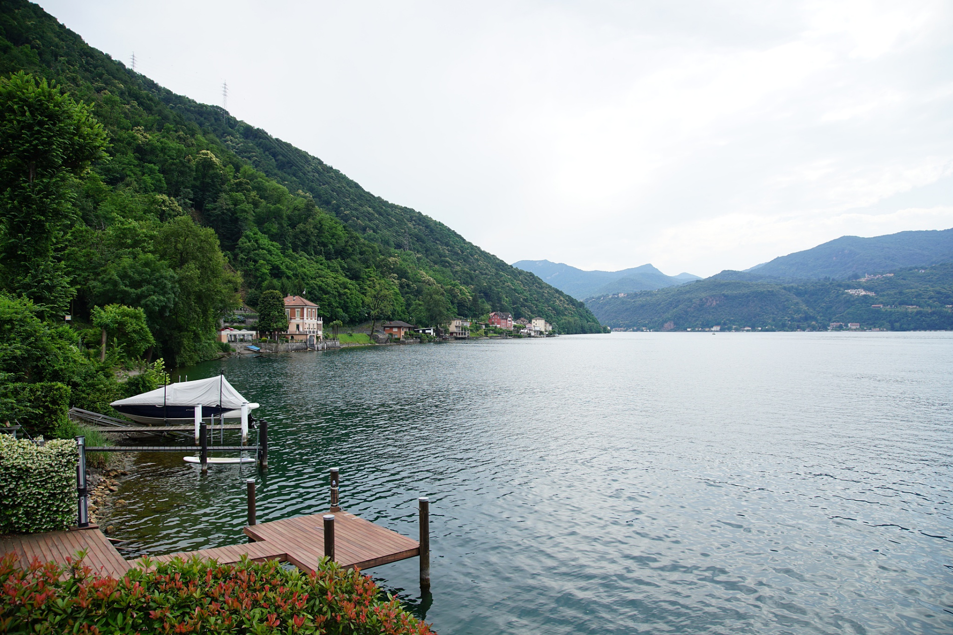 春天的脚步:温州九山湖的环湖之旅,探寻自然之美 我在温州九山湖春天