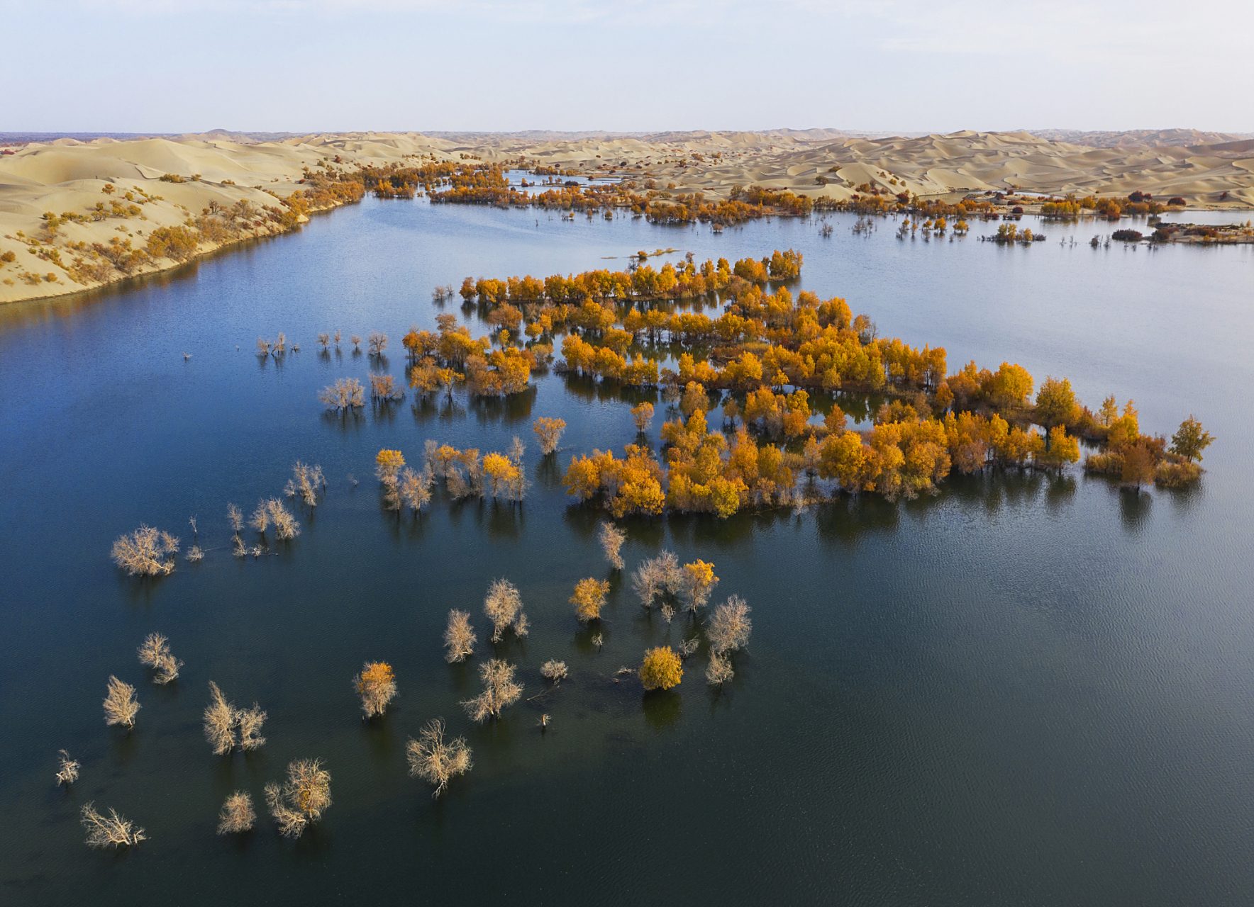 是位于中国甘肃省敦煌市的一片珍贵自然景观区