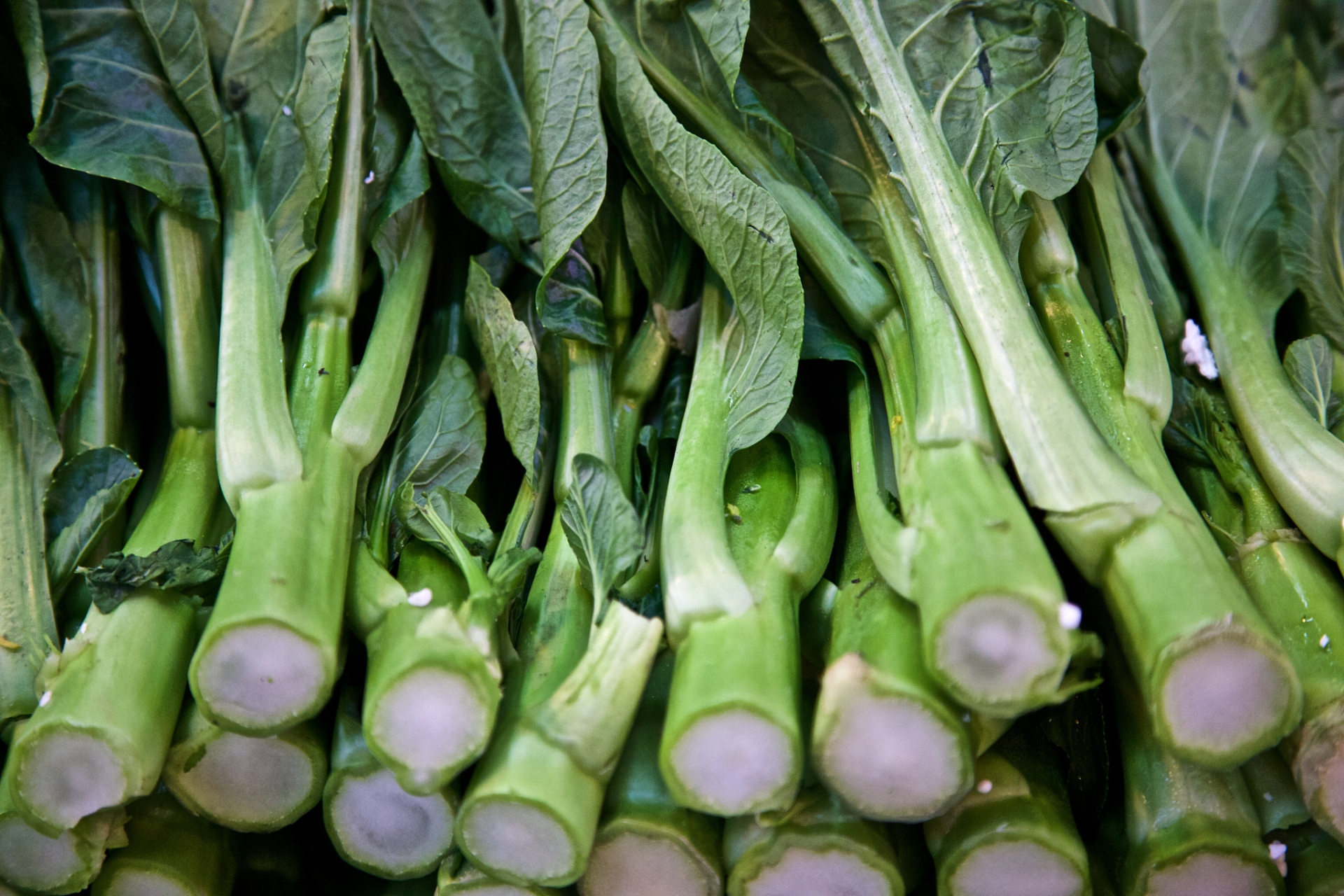 [原文:买莴笋,挑粗的还是细的?