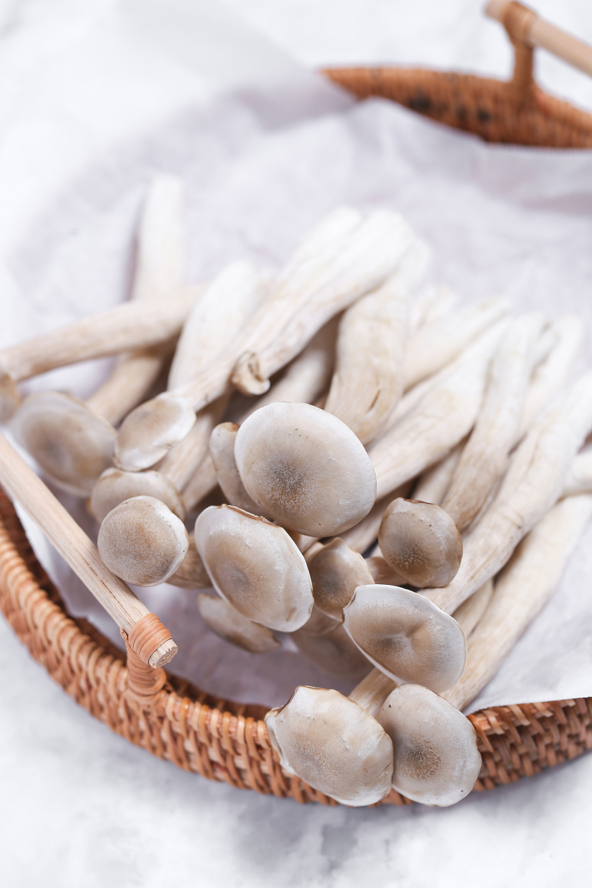 78  首先,鹿茸菇的抗癌效果堪称一绝.