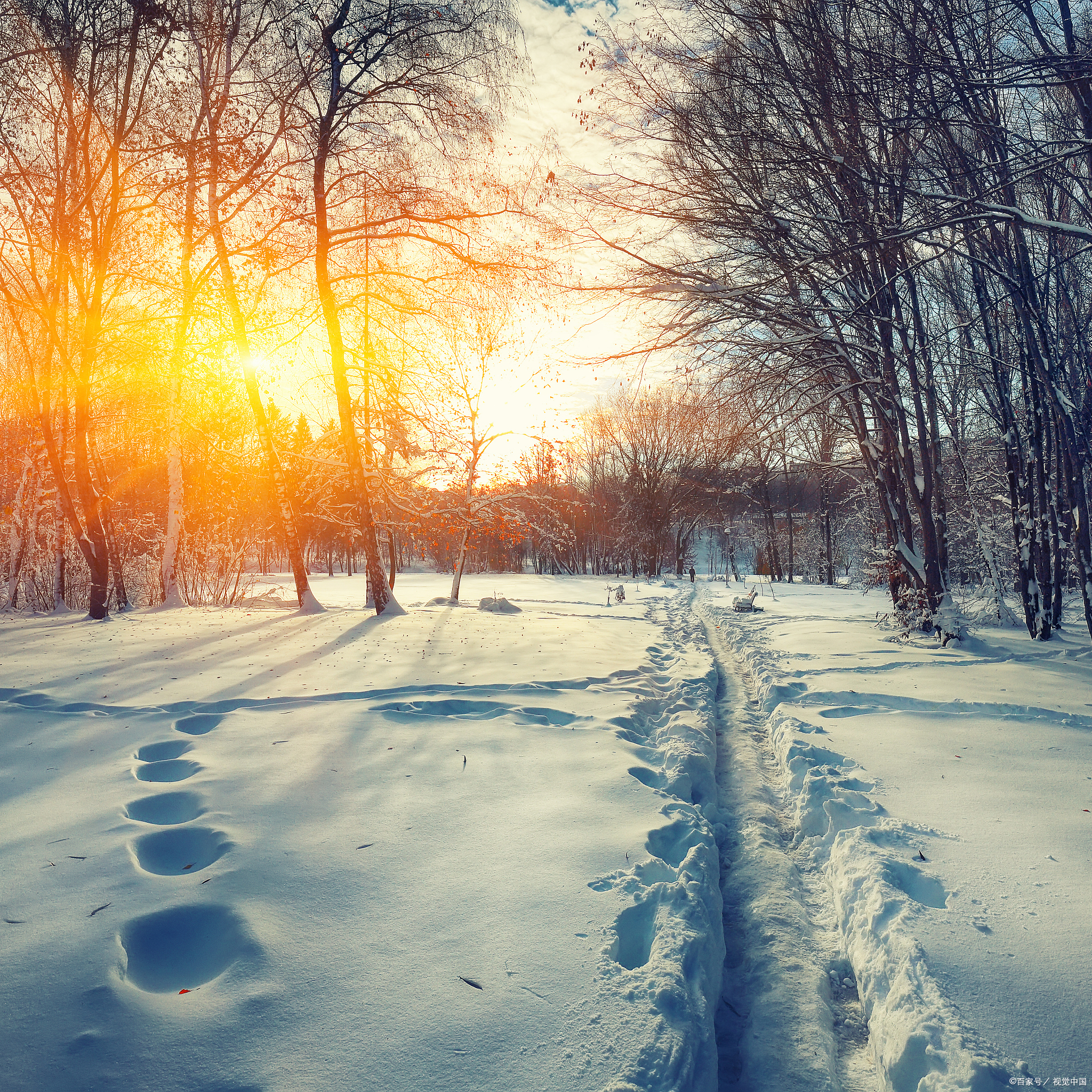 初冬微寒,一杯清茶在手,暖暖的阳光,陪我倚在红尘一角,陪我赏析着书橱