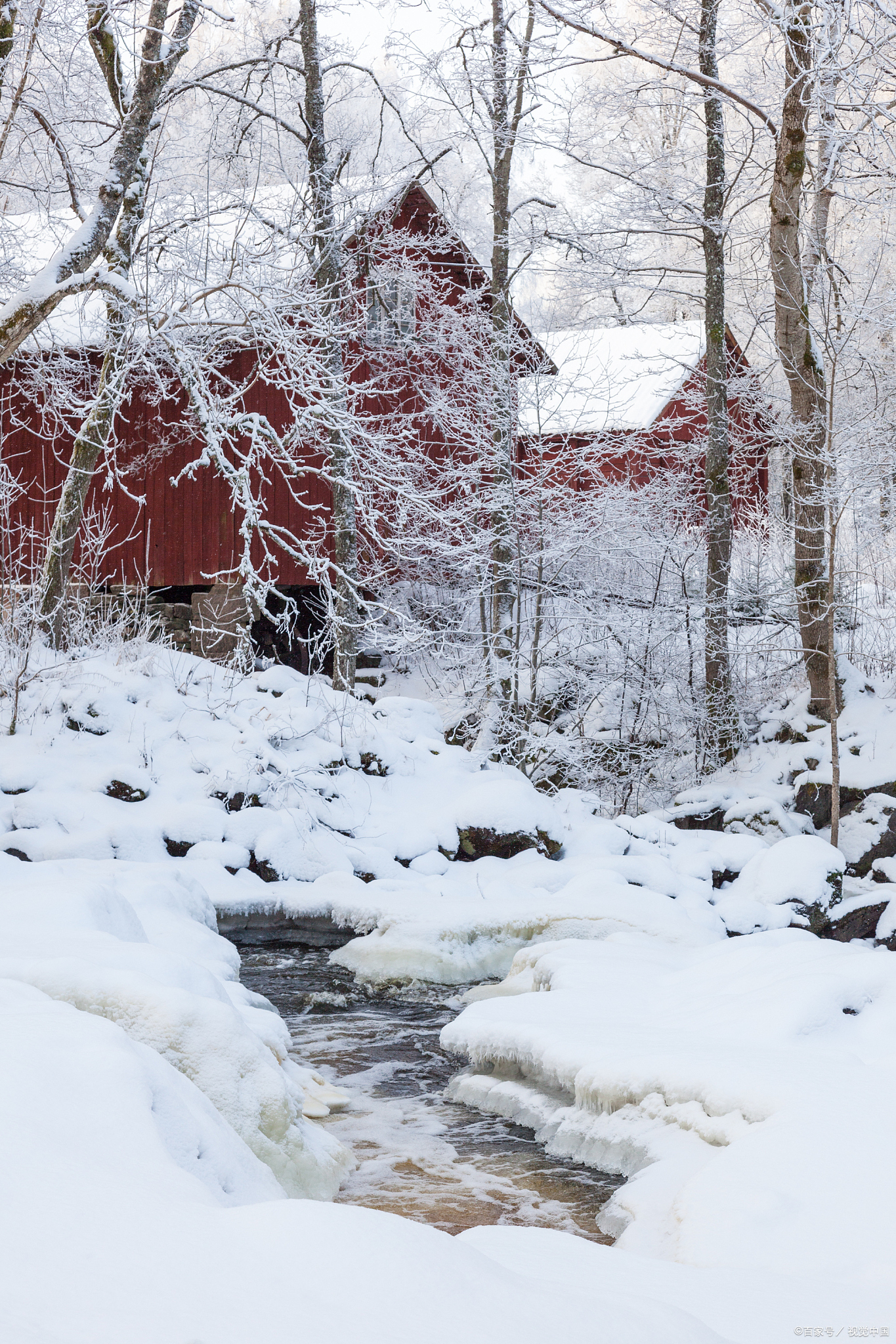可是,总有那么一群人,他们不惧寒冷,坚决不穿秋裤,要挑战冬天的考验
