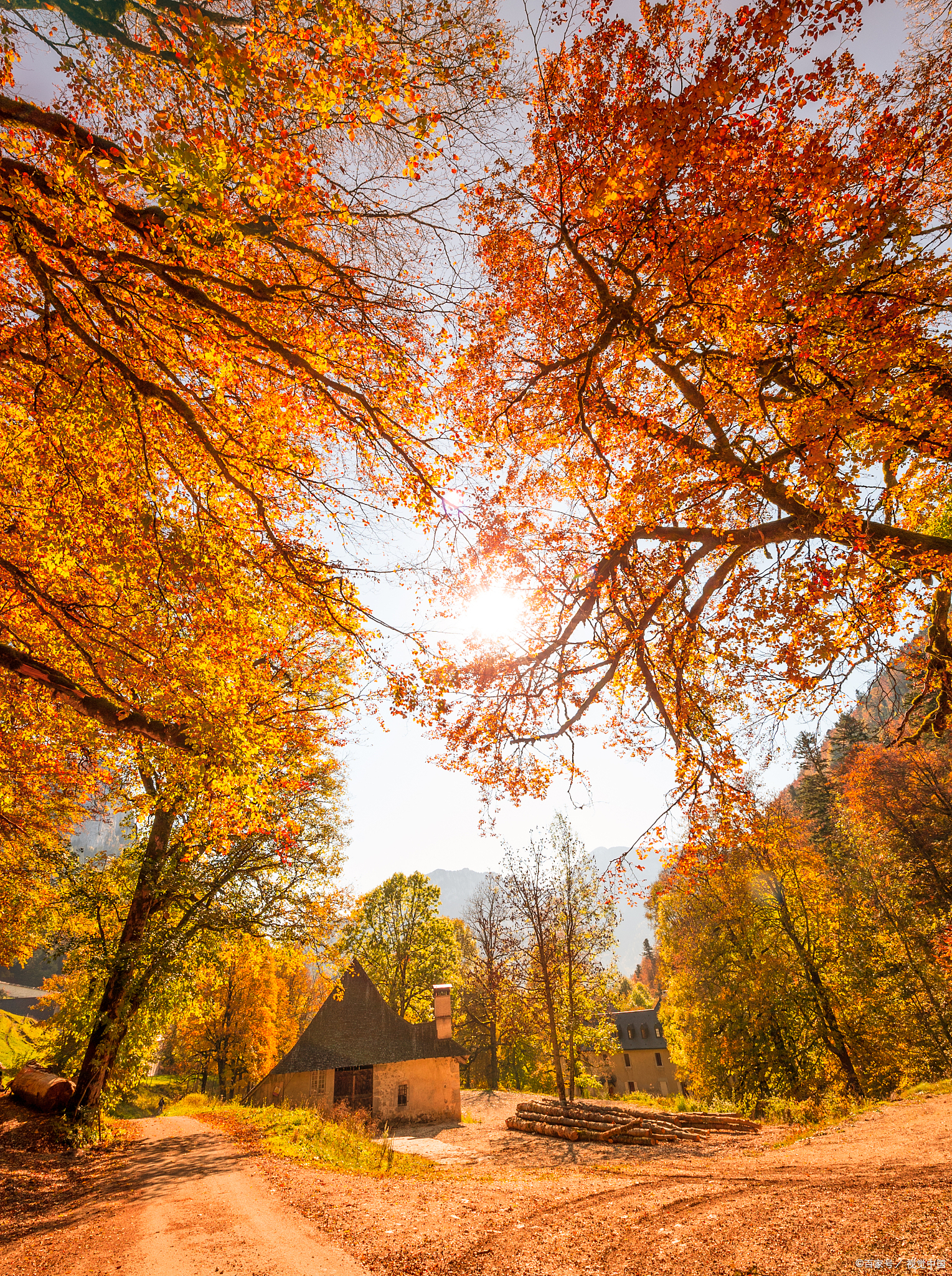 秋天是一年四季中最美的季节之一,也是去自驾的好时机.