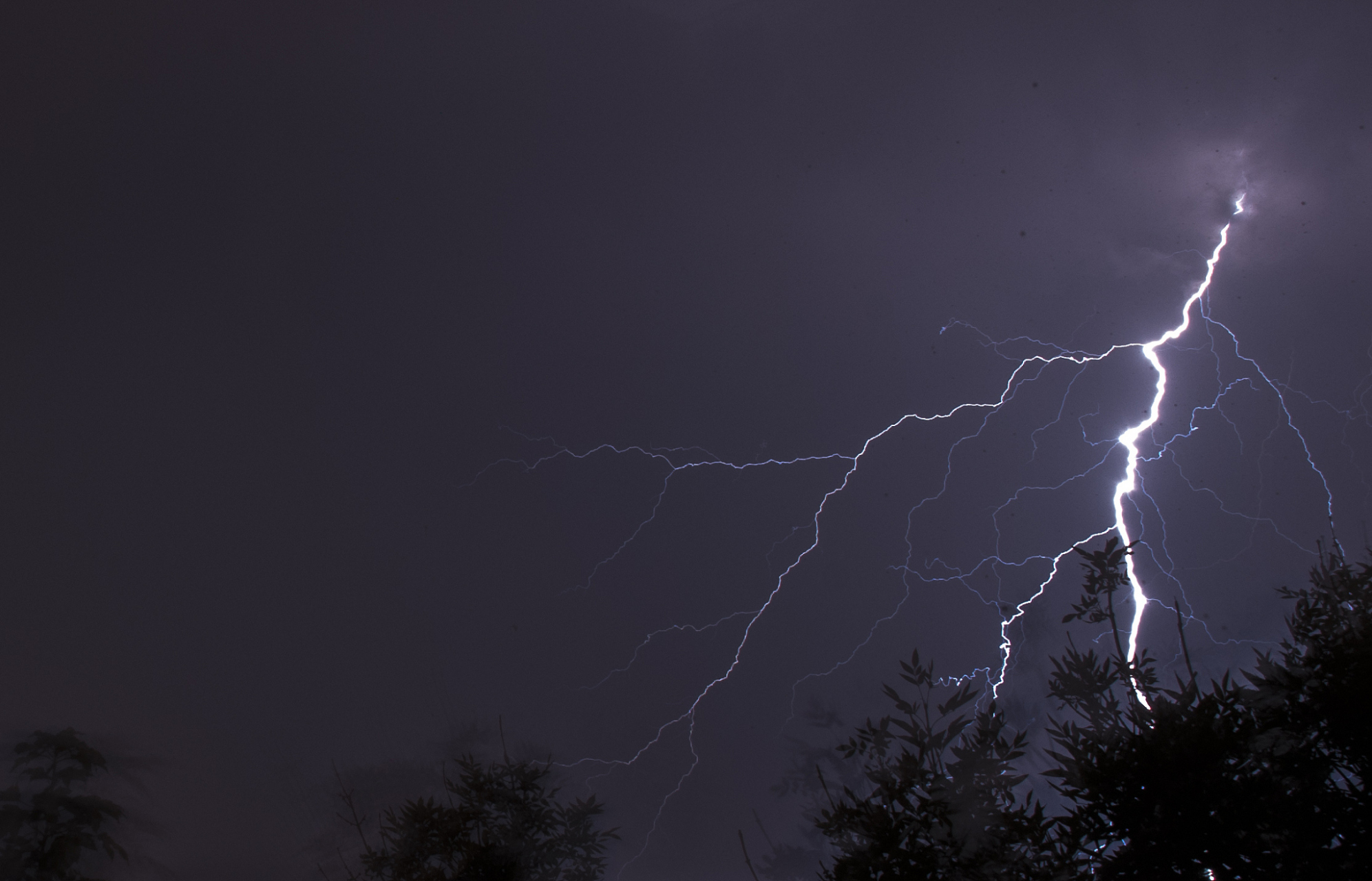 早上起床,我发现自己陷入了暴雨中,整个城市仿佛被淹没在水的海洋中