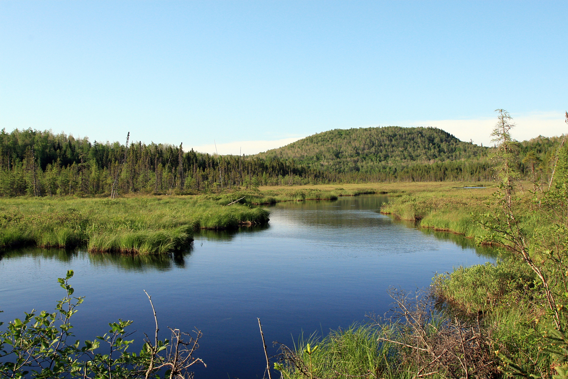 大亮子河国家森林公园,位于黑龙江佳木斯市的汤原县,是黑龙江省东部的