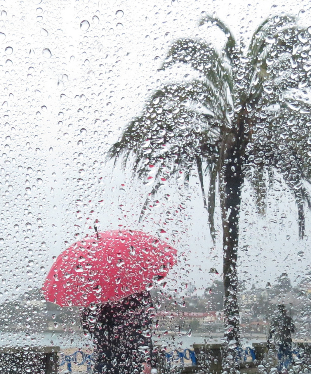 朦胧小雨图片