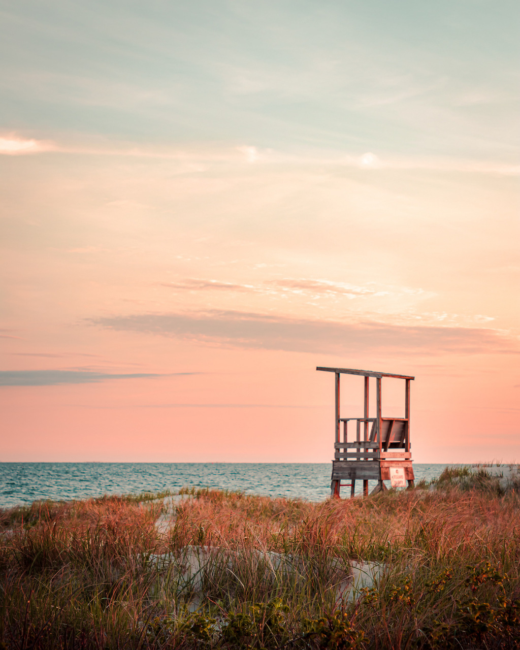 他们说有绿洲, 但绿洲毫无踪影, 绿洲到底在哪里?