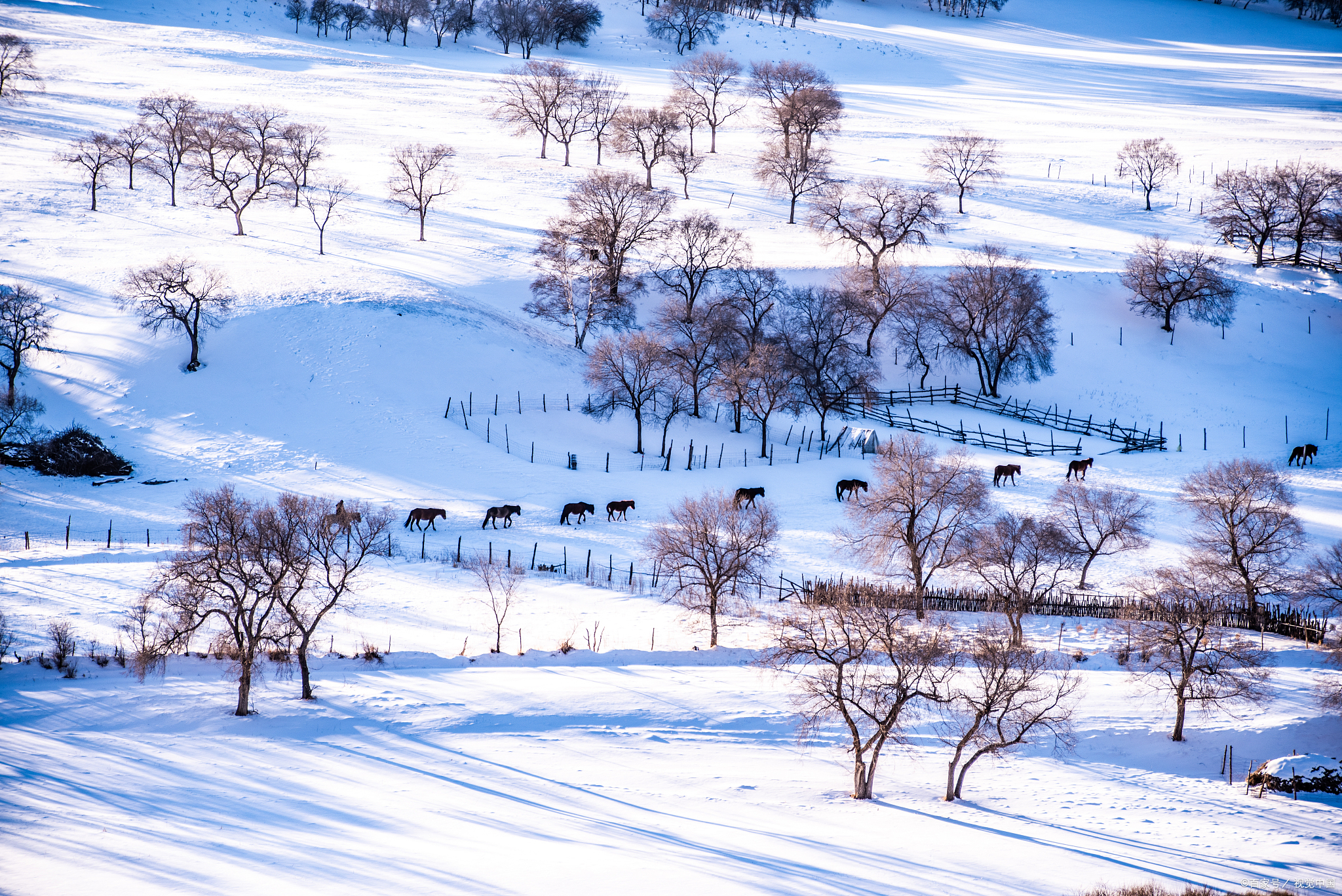 冬季的内蒙古呼伦贝尔,一片银装素裹,美丽的雪景和独特的民俗文化吸引