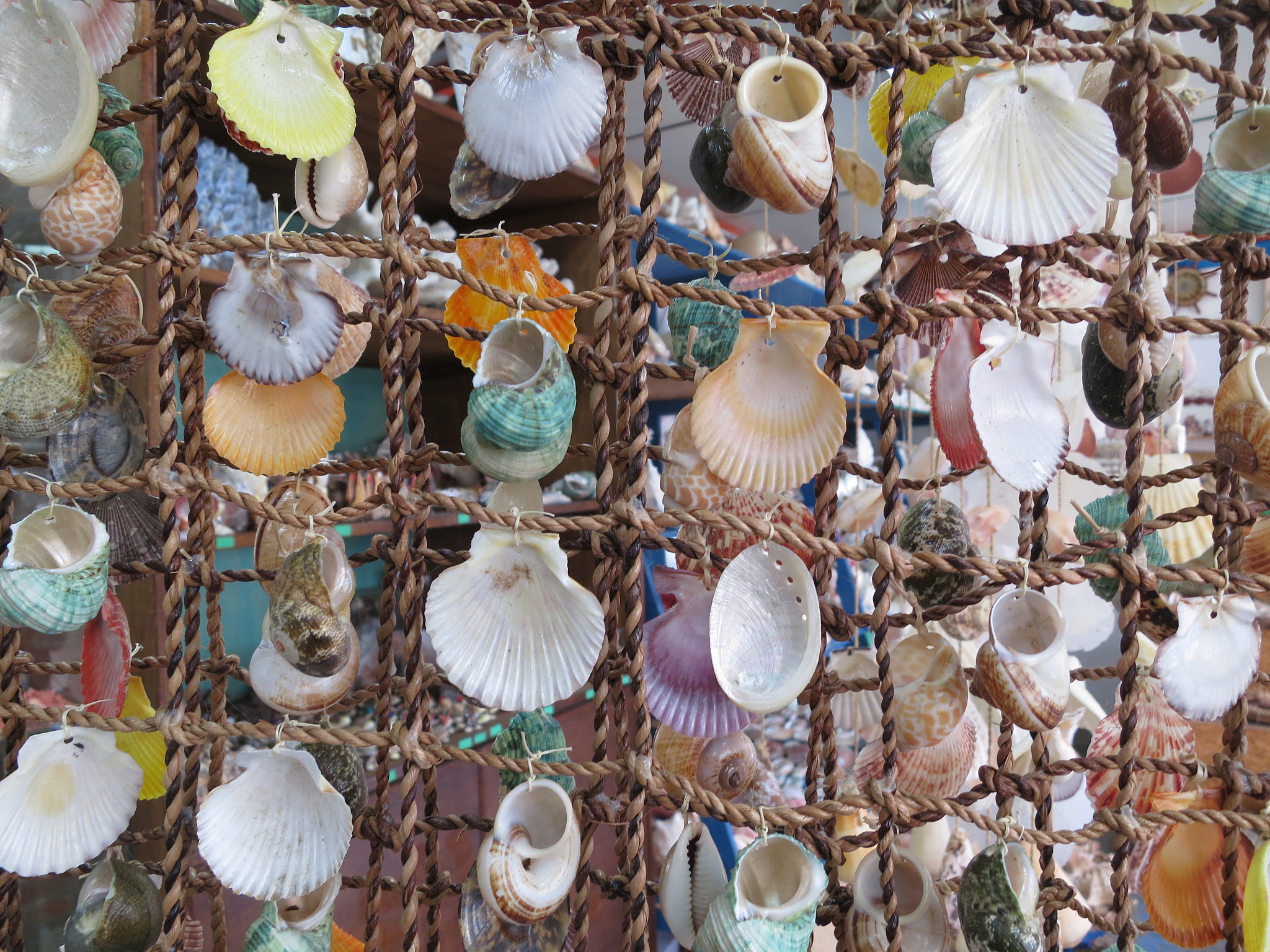 手工贝壳饰品能发挥创意吗?贝壳饰品怎样制作精美?