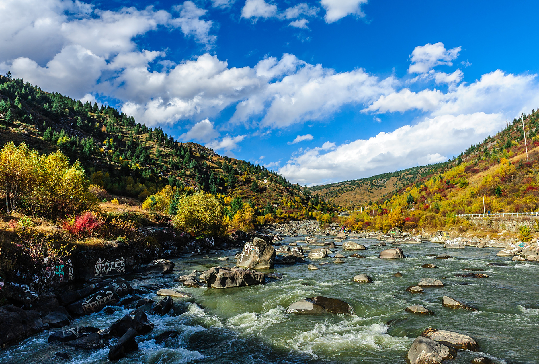 位于岷山山脉与邛崃山脉交汇处的黑水县麦扎乡境内,海拔2400米-4100米