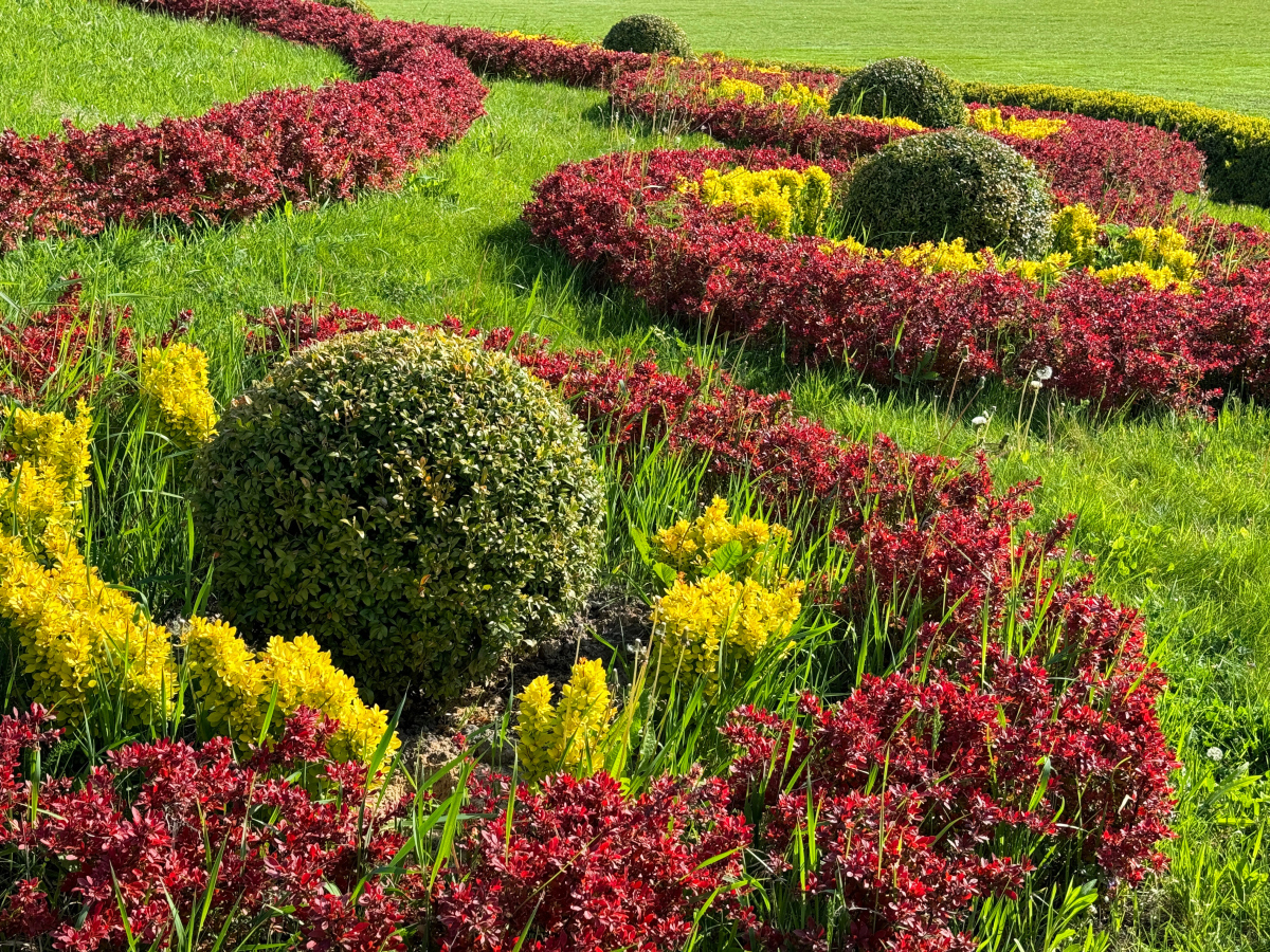 银川的百花园在夏天如何展示花卉的绚丽?
