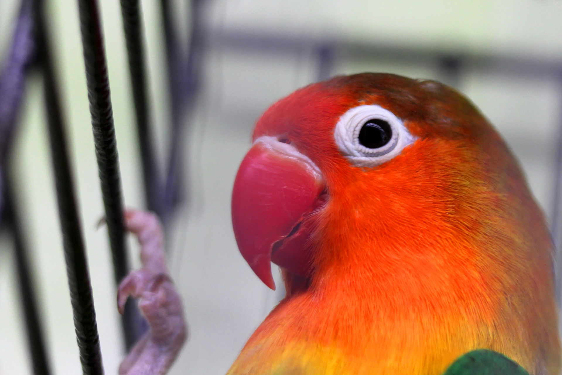 婚姻需要门当户对,不仅是家庭背景和经济条件,更重要的是双方的生活