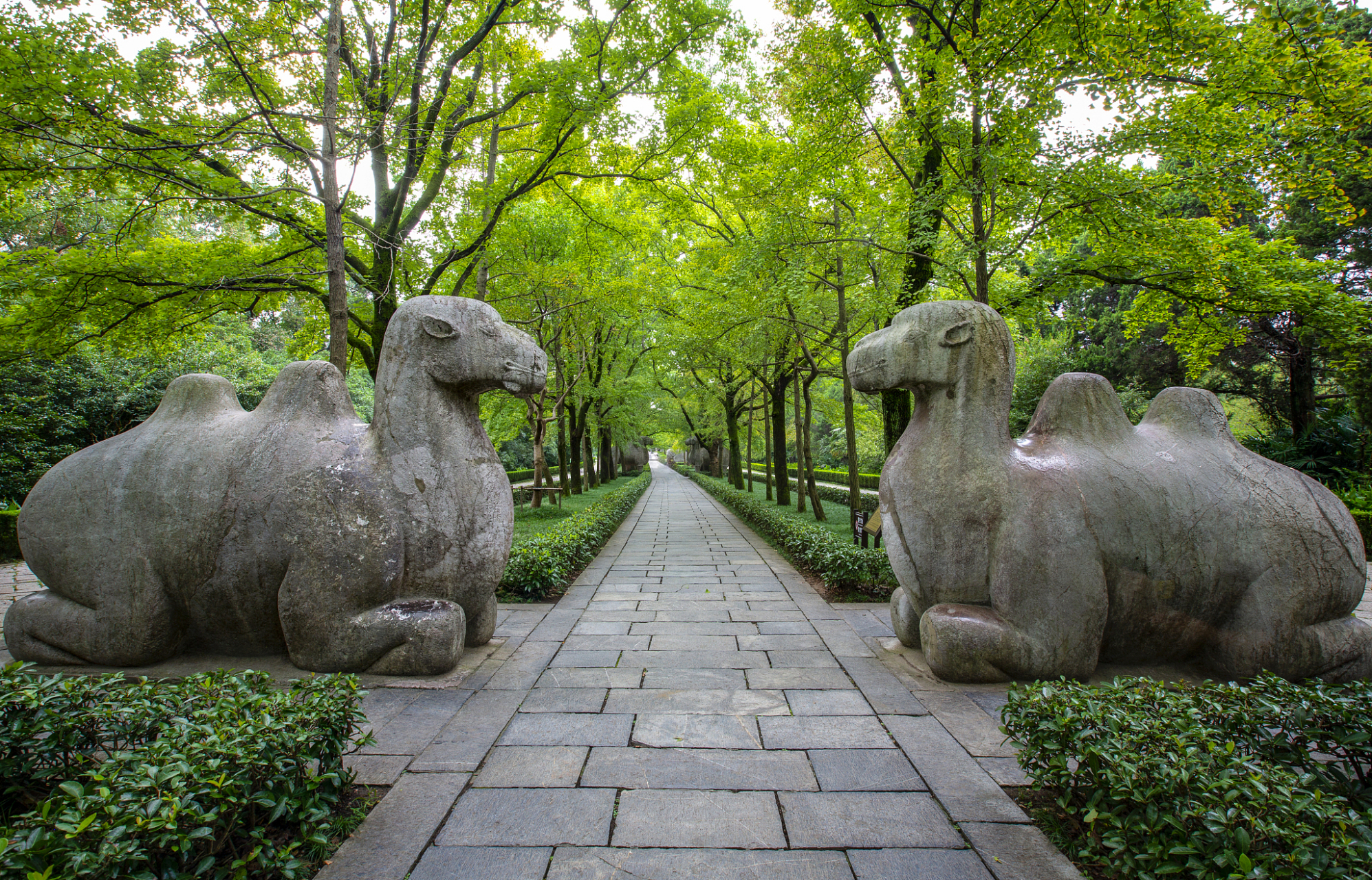 南京明孝陵游:探访明朝开国皇帝的陵寝 暑假到了,不妨带上孩子们来