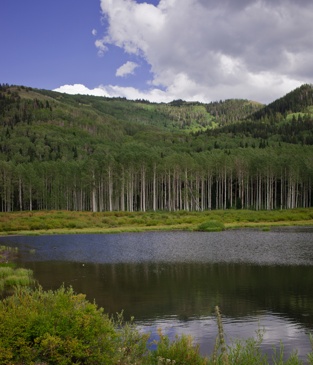 乌素图国家森林公园,乌素图,是蒙古语,意为"有水的地方".