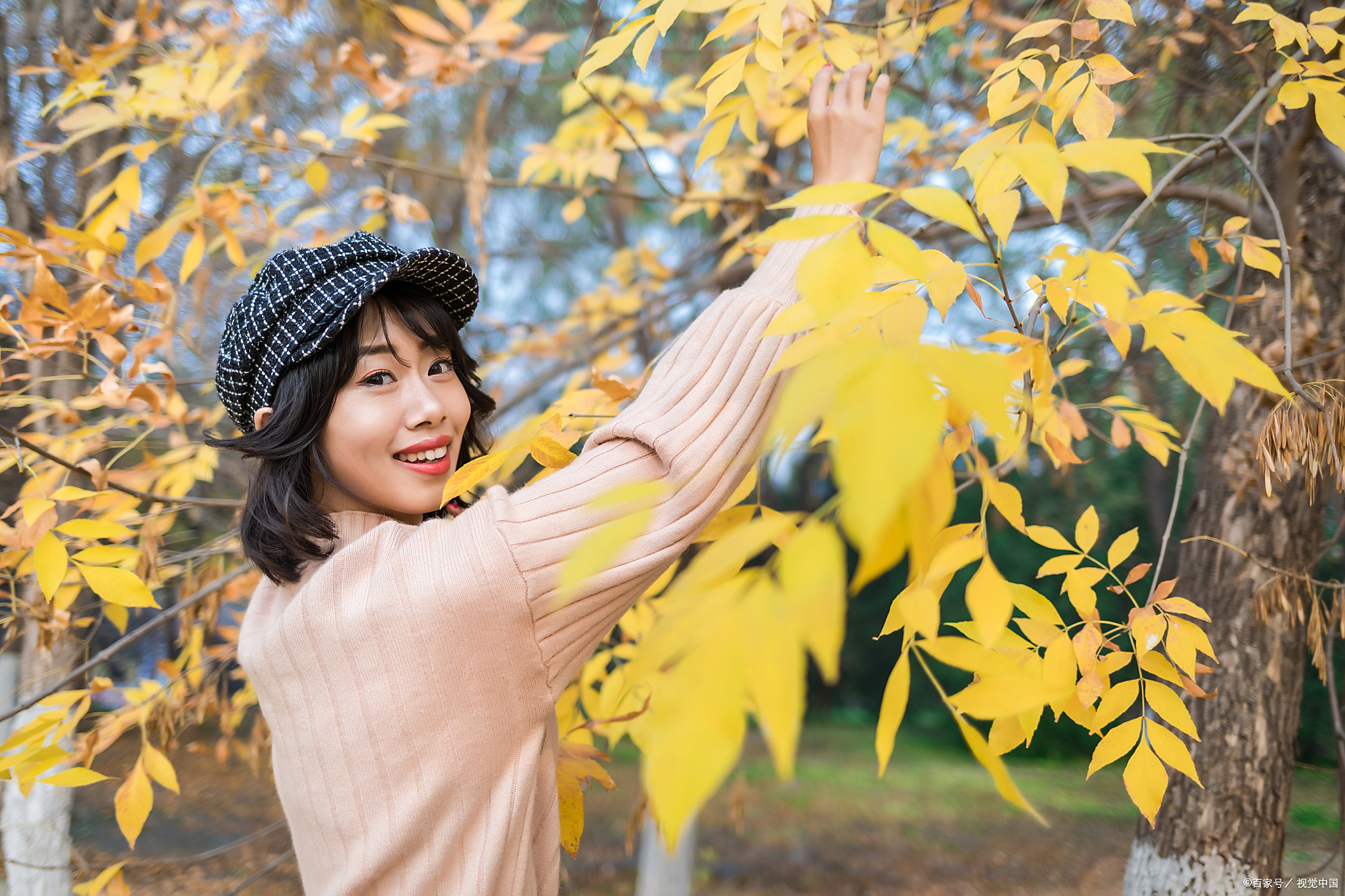 在每一个风雨飘摇的季节,都有明月悬于枝头.
