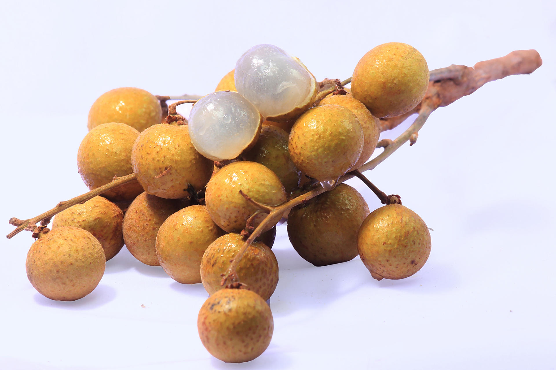 龙眼果,貌不惊人却蕴藏无尽奥秘!富含维生素c,抗氧化剂和铁质.