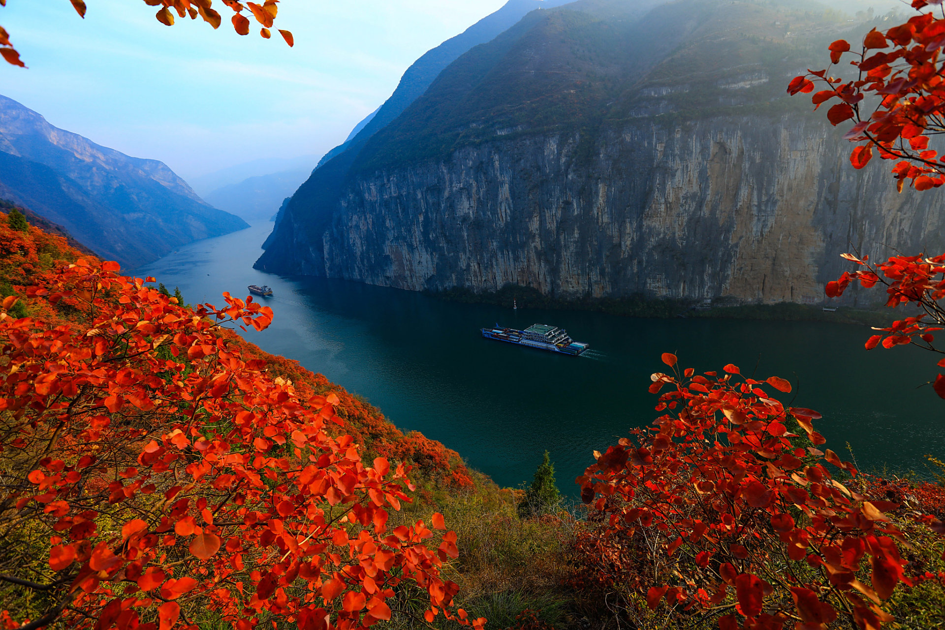 长江三峡巫峡两岸的红叶开始呈现出色彩斑斓的景象,如同大自然精心