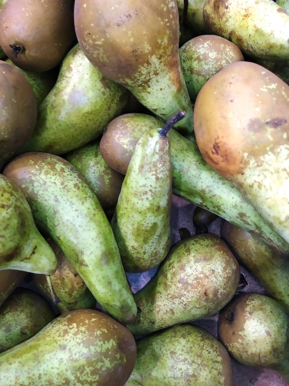 这是八月炸,我们那叫牛卵子,小时候家人偶尔会摘回来给我吃,但我却不