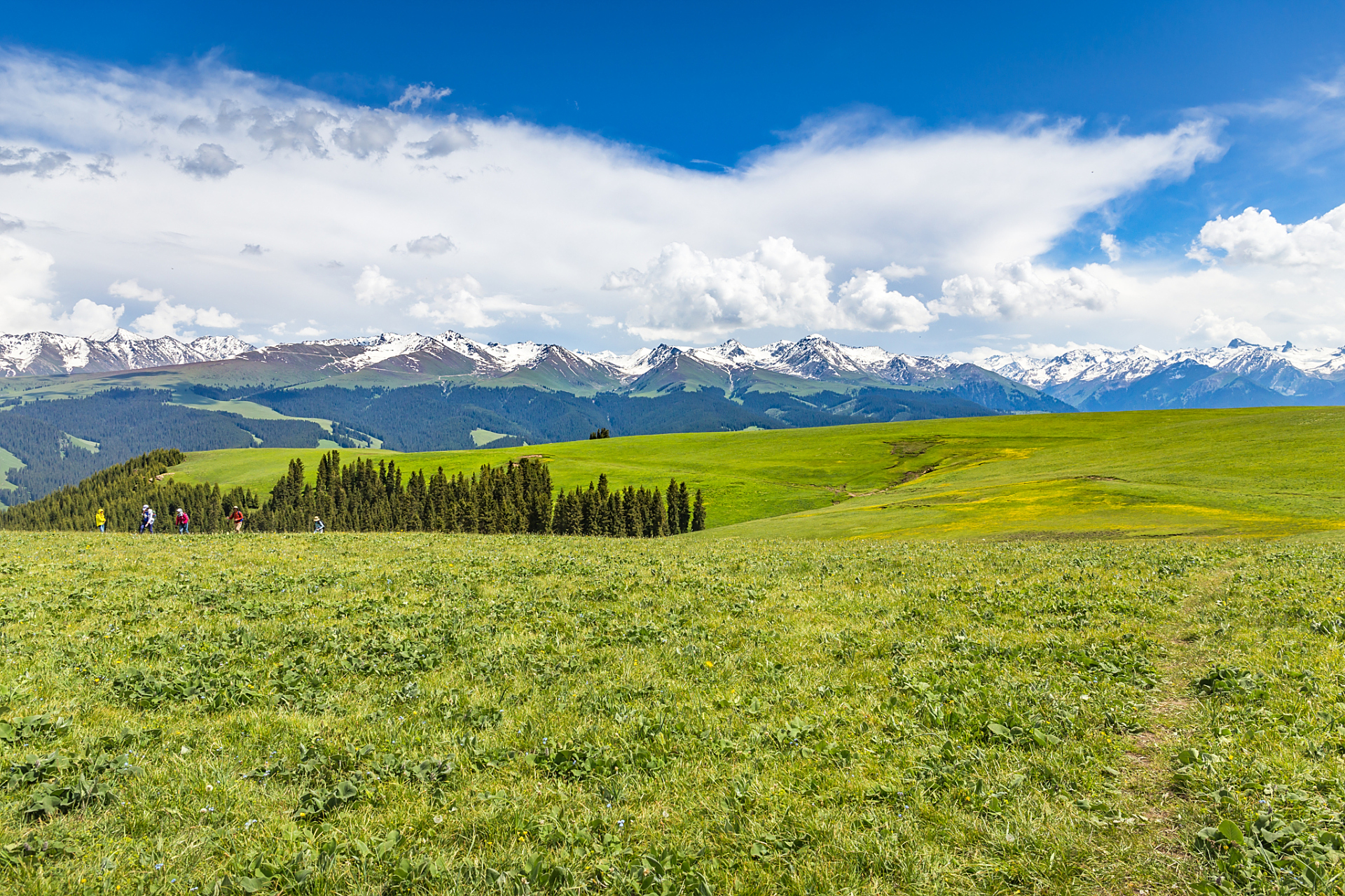 喀拉峻景区简介|喀拉峻景区位于新疆伊犁哈萨克自治州特克斯县,距离